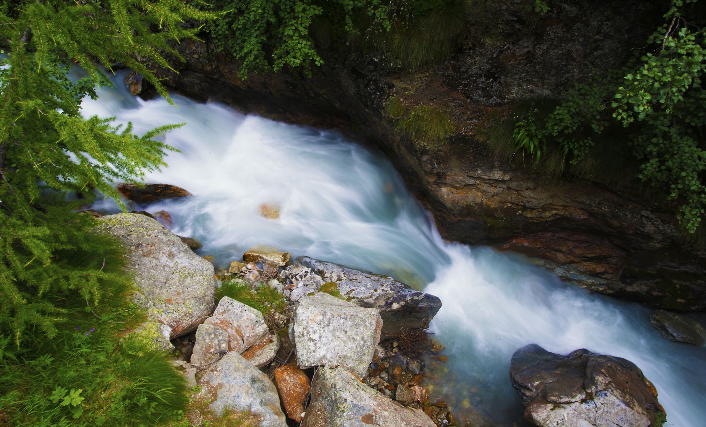 Ruscello di montagna