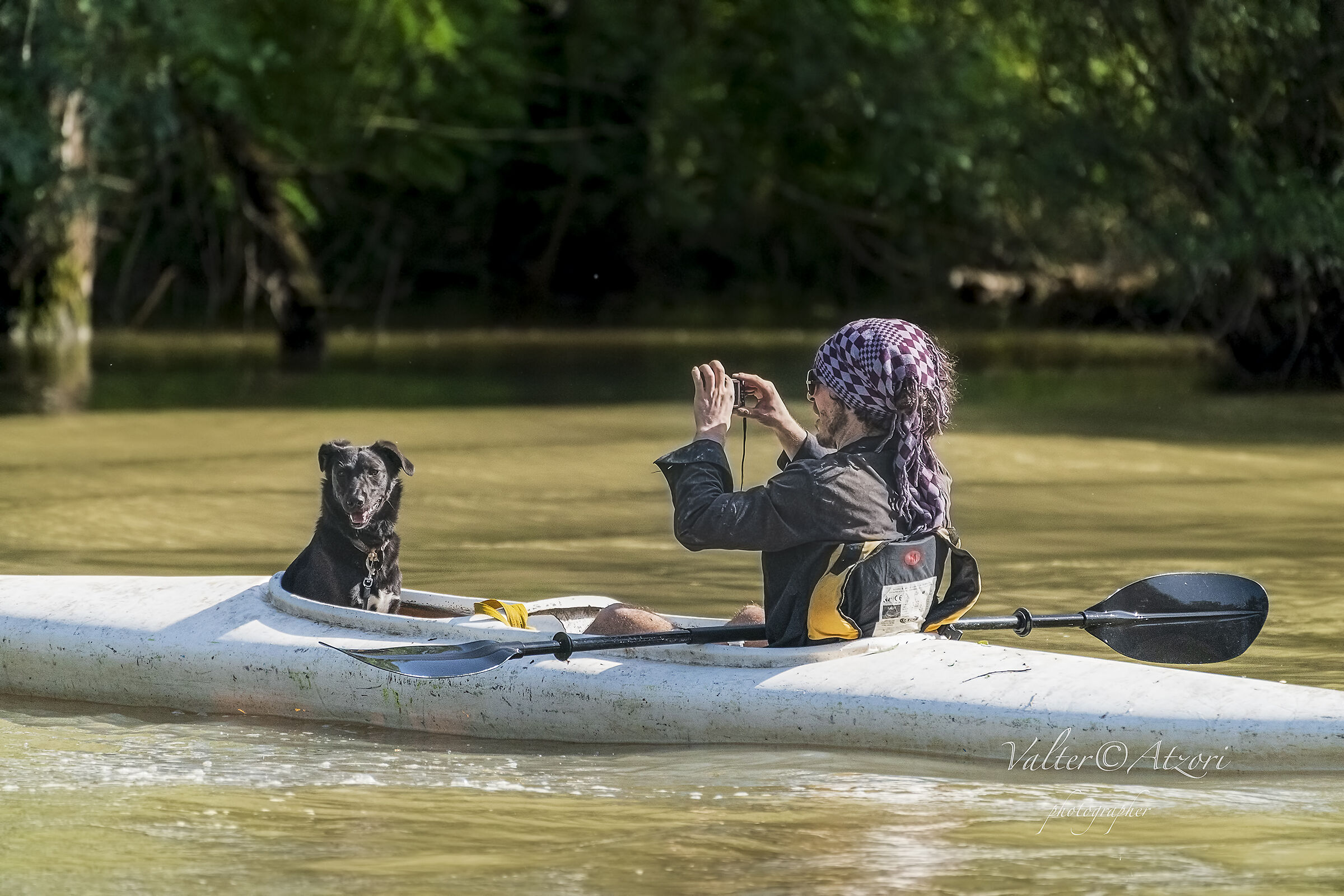 Come on, look at me, so I'm going to take a picture of you.
