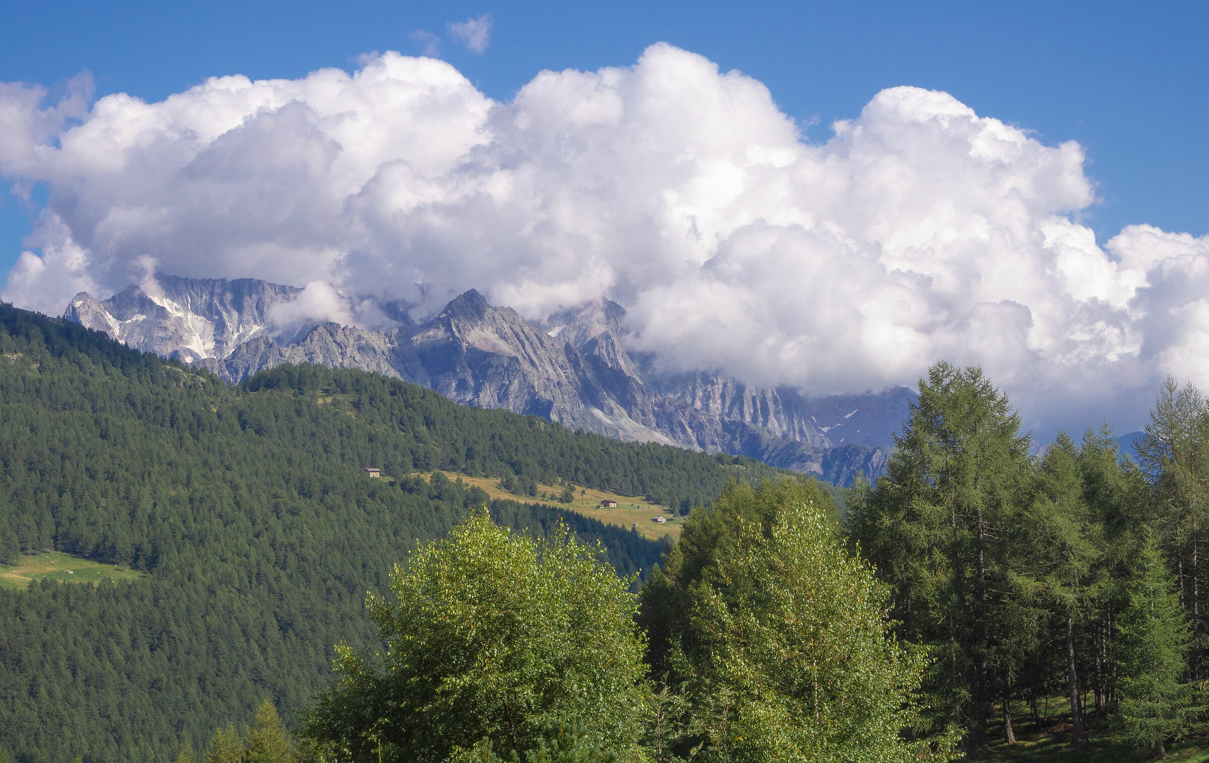 Parco Regionale Adamello