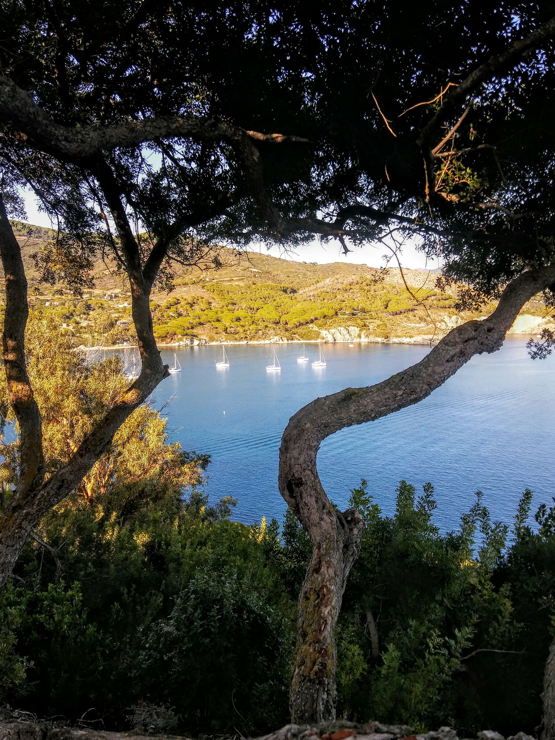 Anche stasera siamo al sicuro