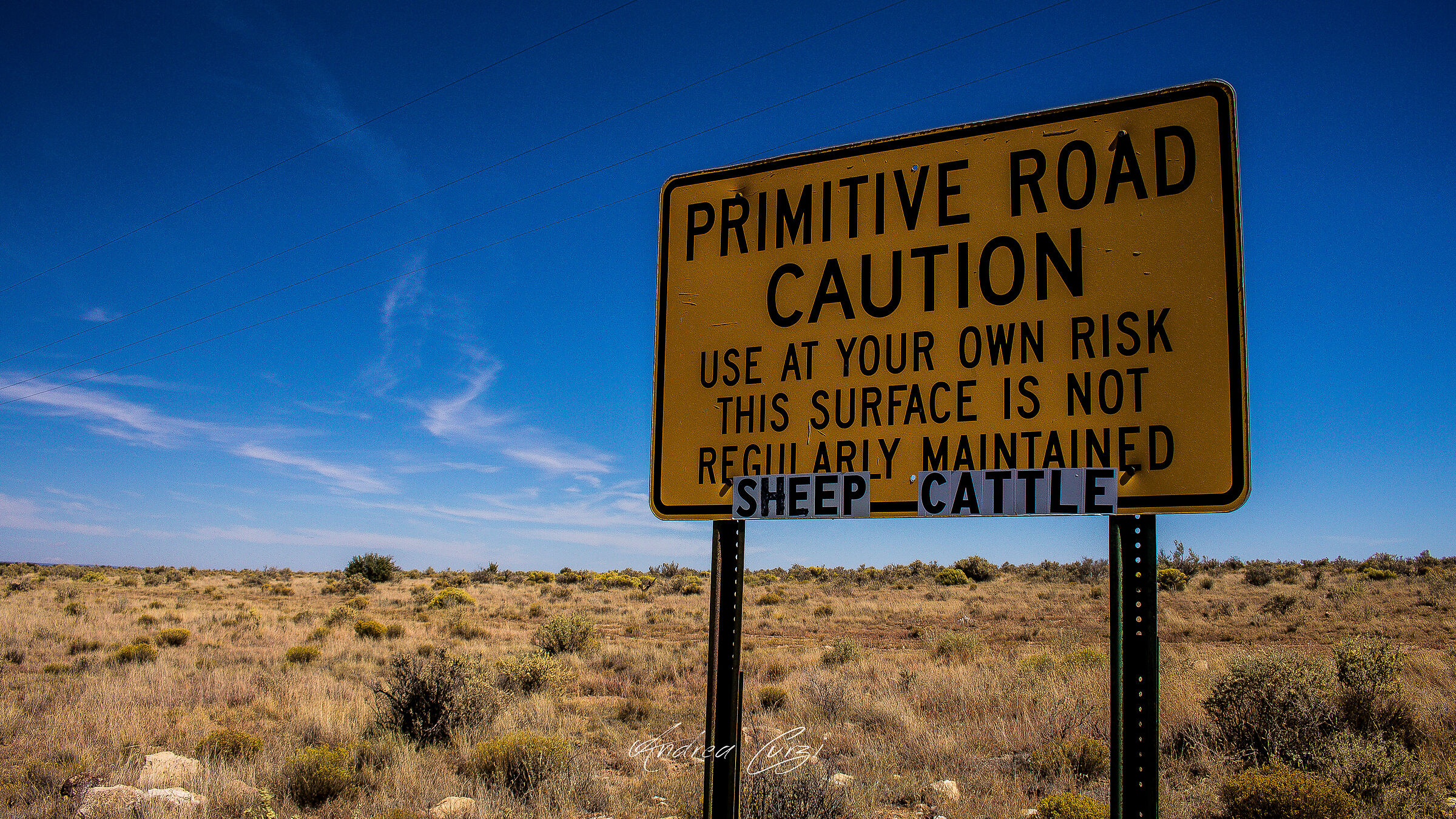 Primitive Road along Monument Valley