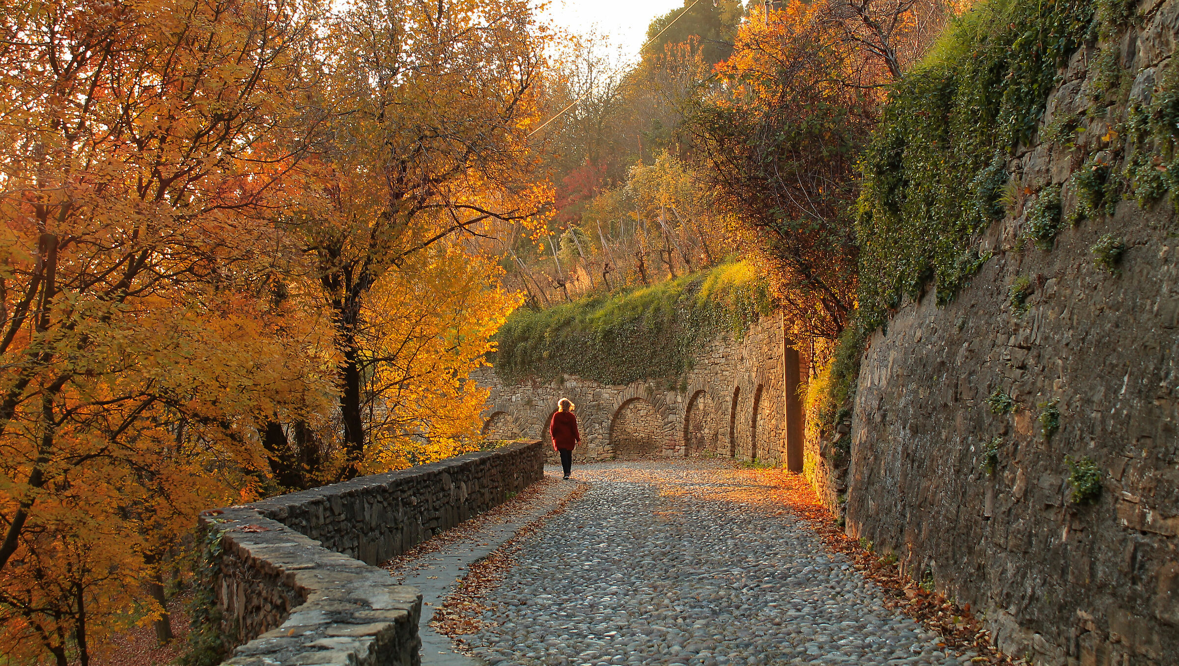 the road of the hills