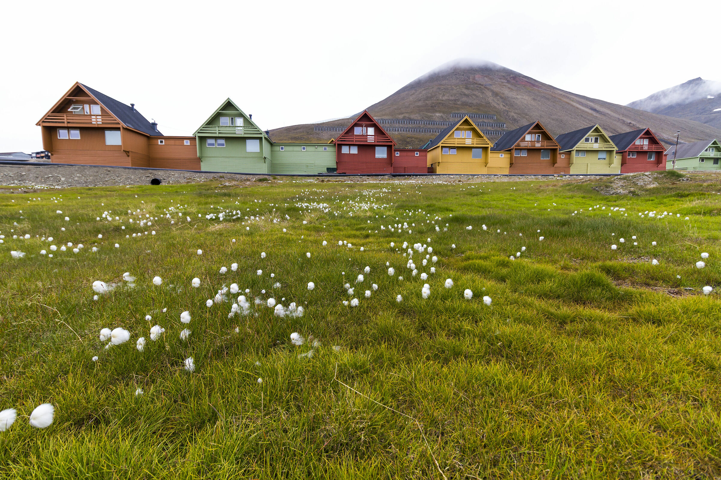 I colori delle Svalbard