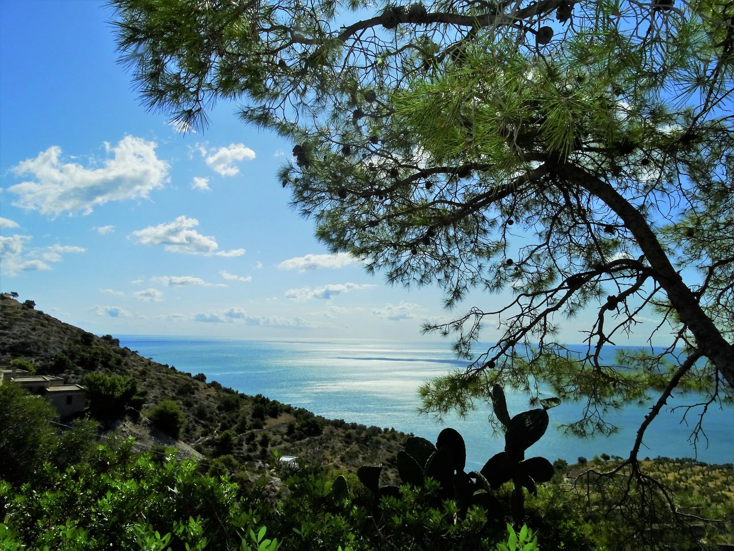 A glimpse of the Gargano
