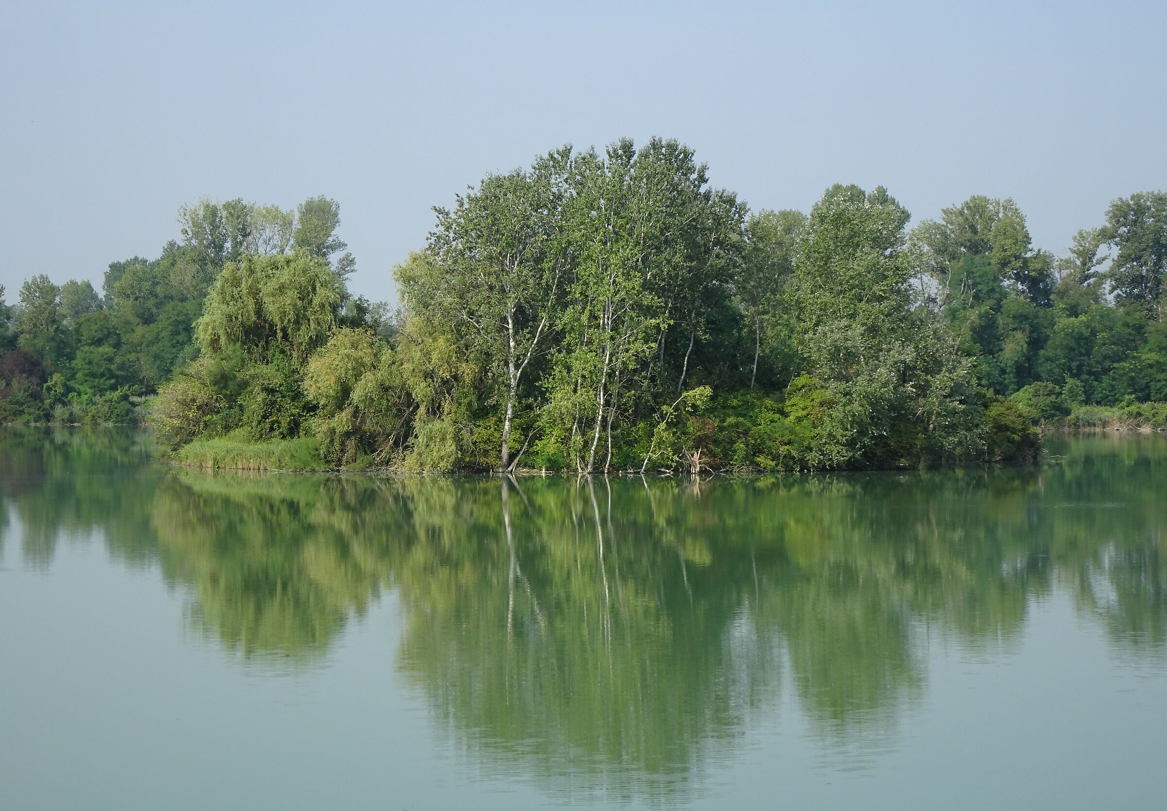 Laghi di S. Anna - S. Cesario sul Panaro (mo) 2
