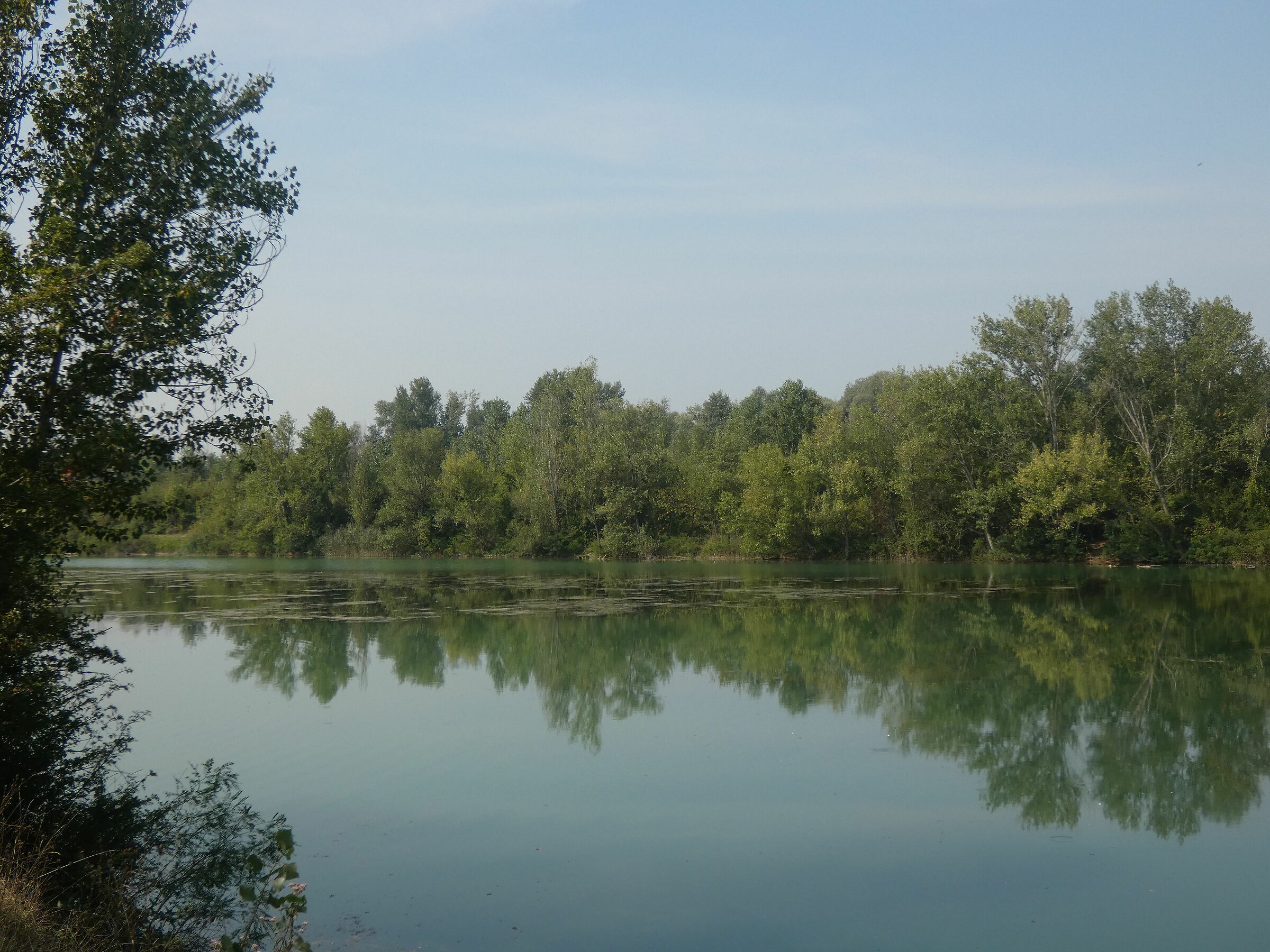 Laghi di S. Anna - S. Cesario sul Panaro (mo) 4
