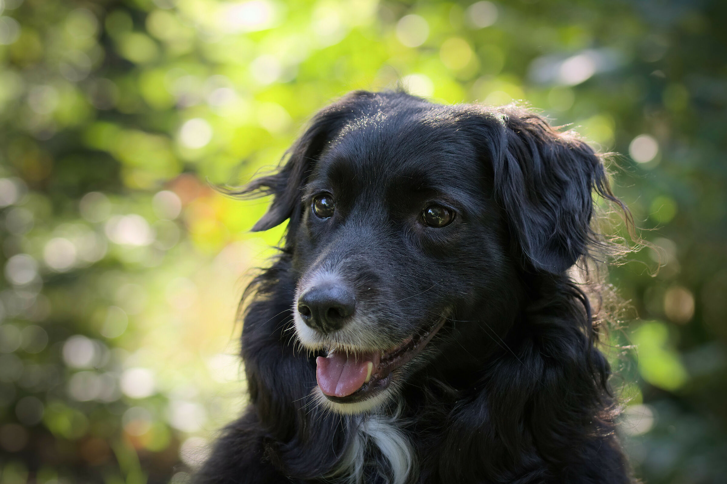 DUAL ISO 100-800 test