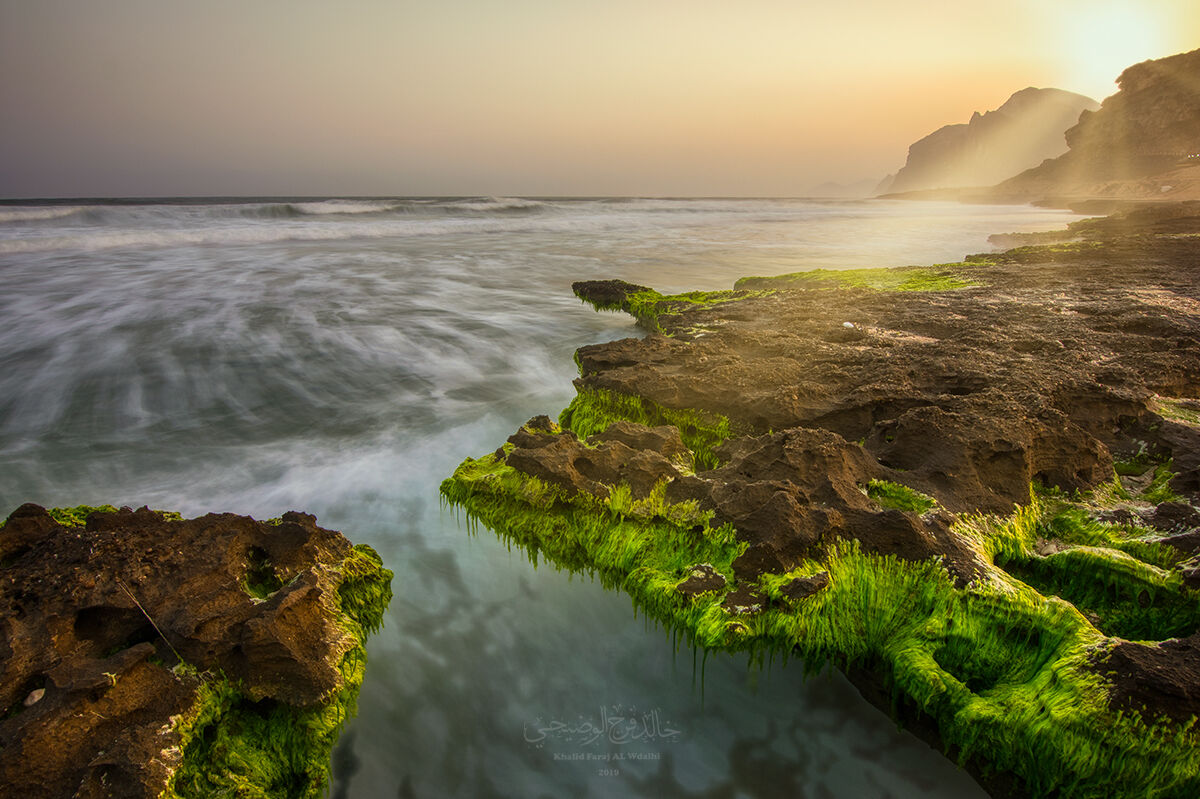 Sultanato dell'Oman Salalah