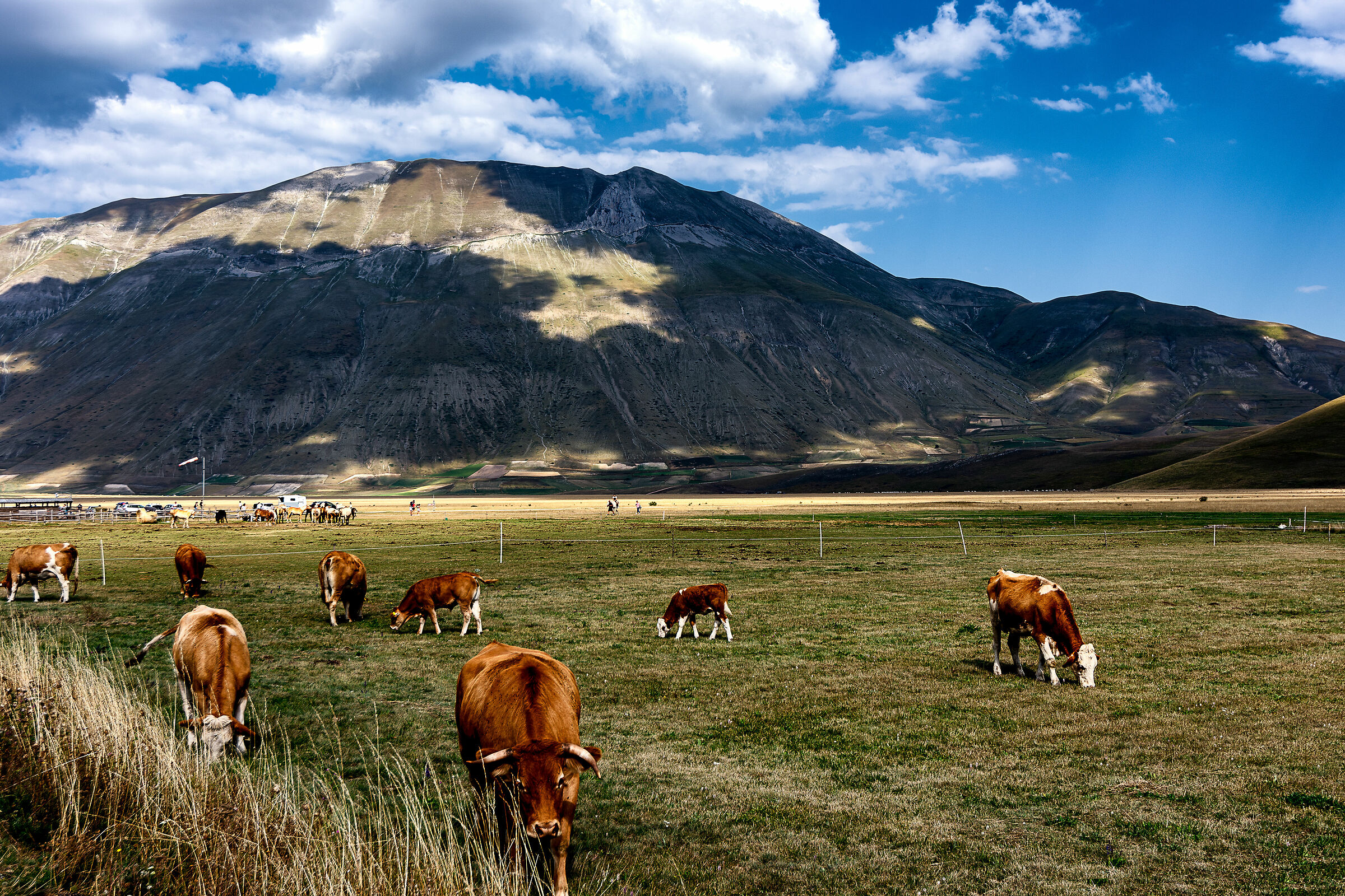 pian grande castelluccio di norcia (pg)