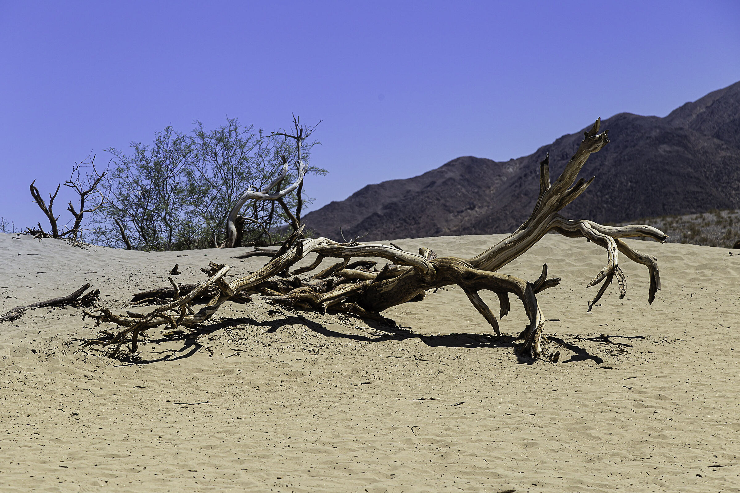 United States 2019 - Death Valley