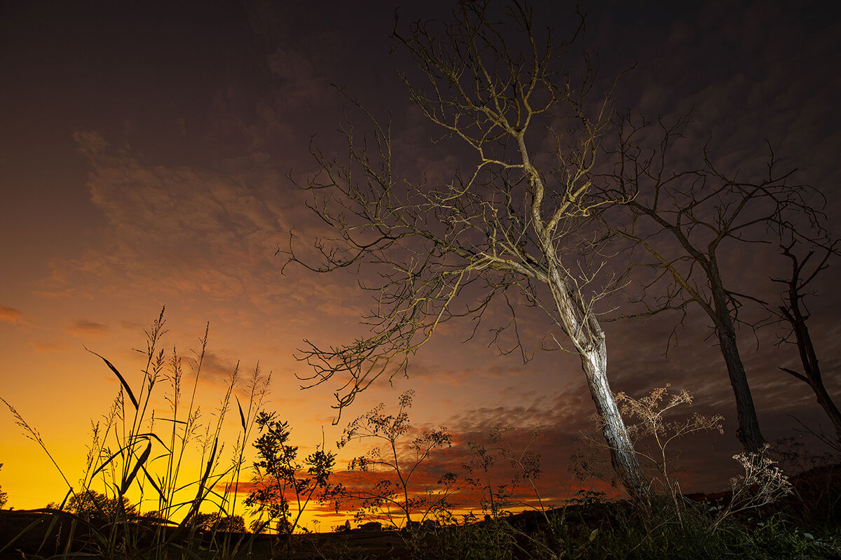 Night comes falling down