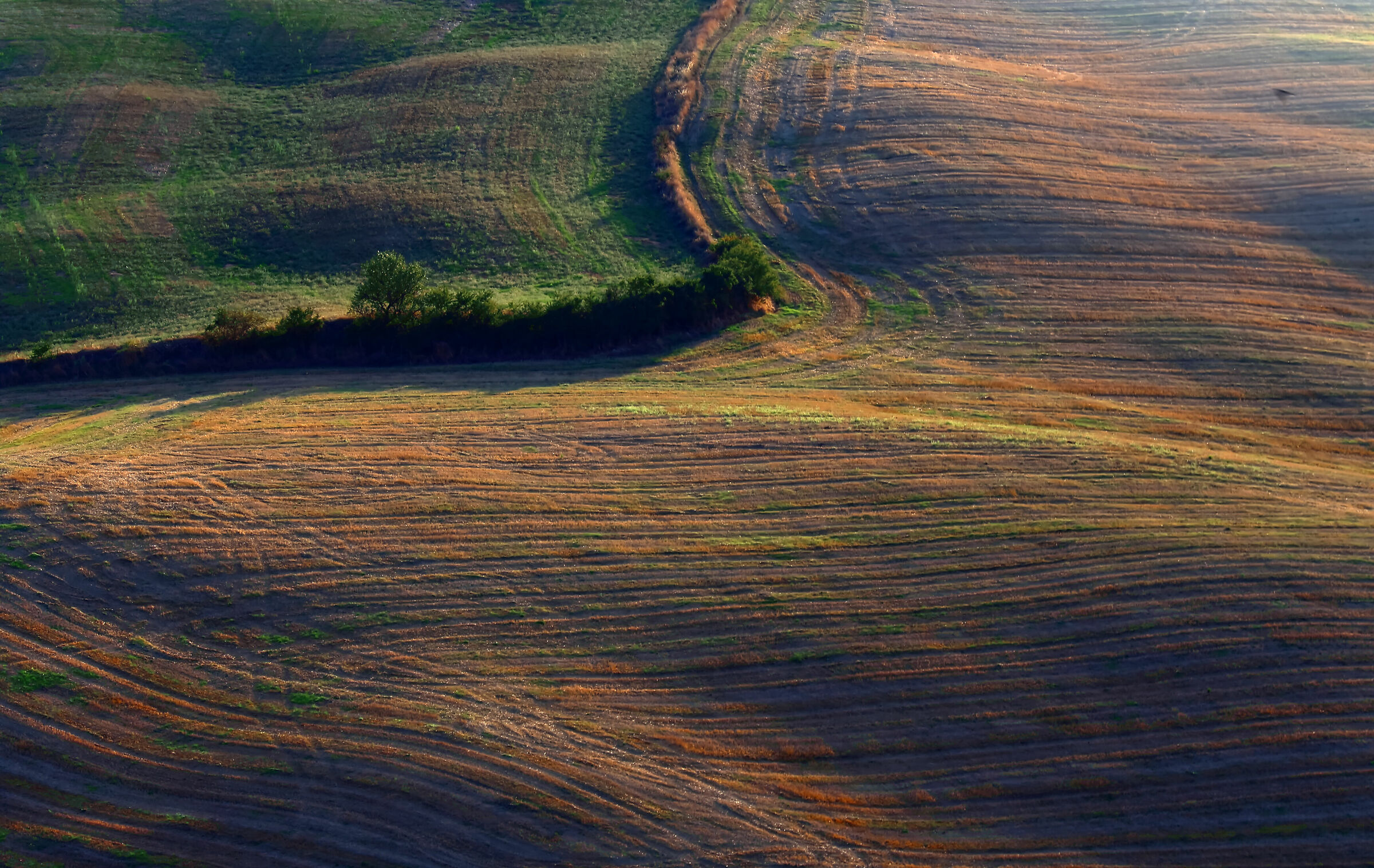 Crete Senesi