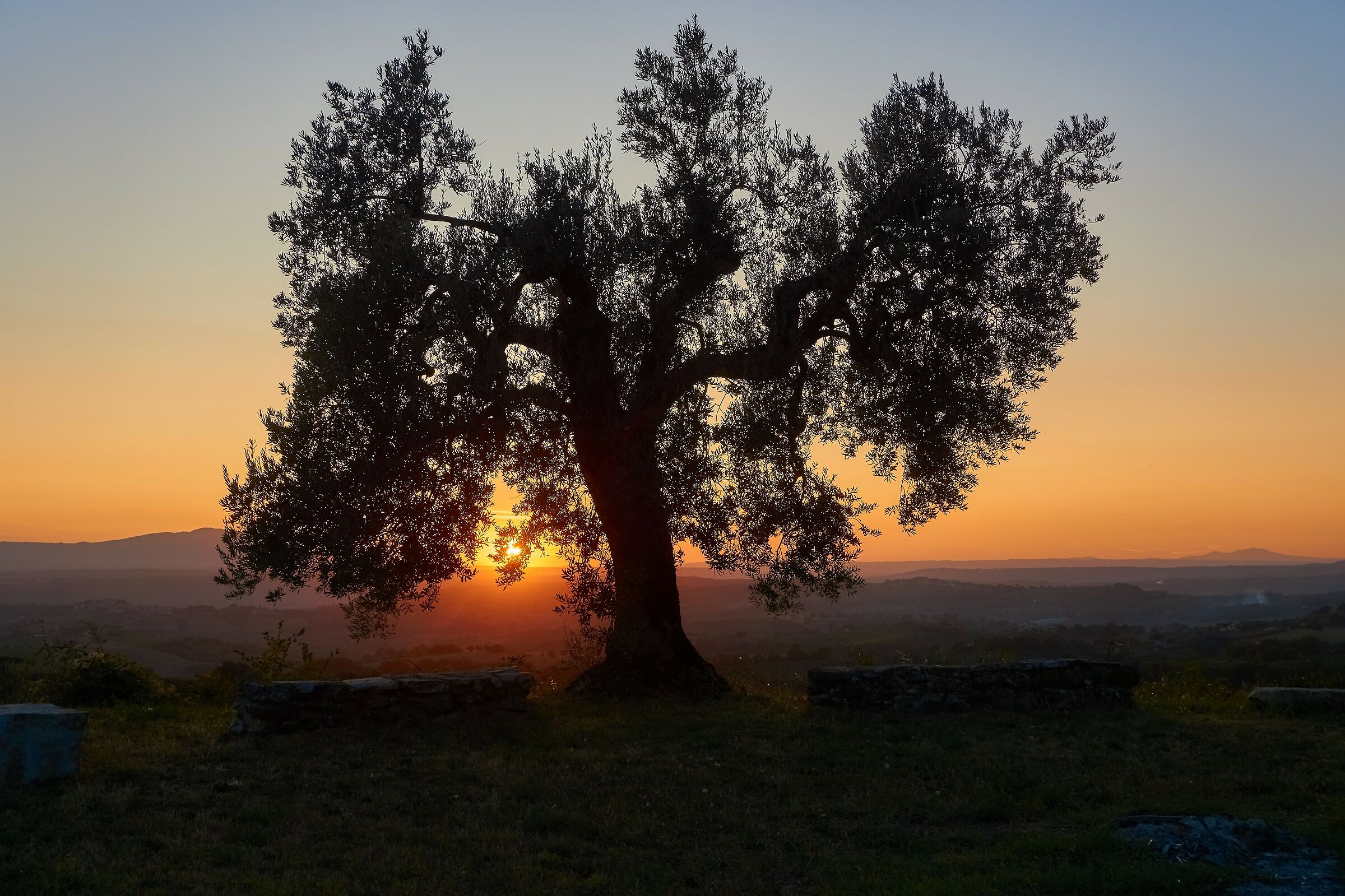 One evening in September