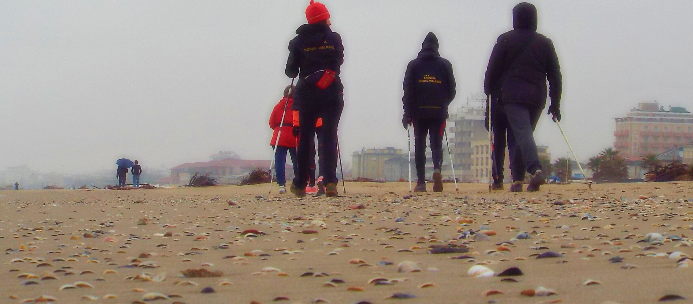 I feel the sea inside a shell