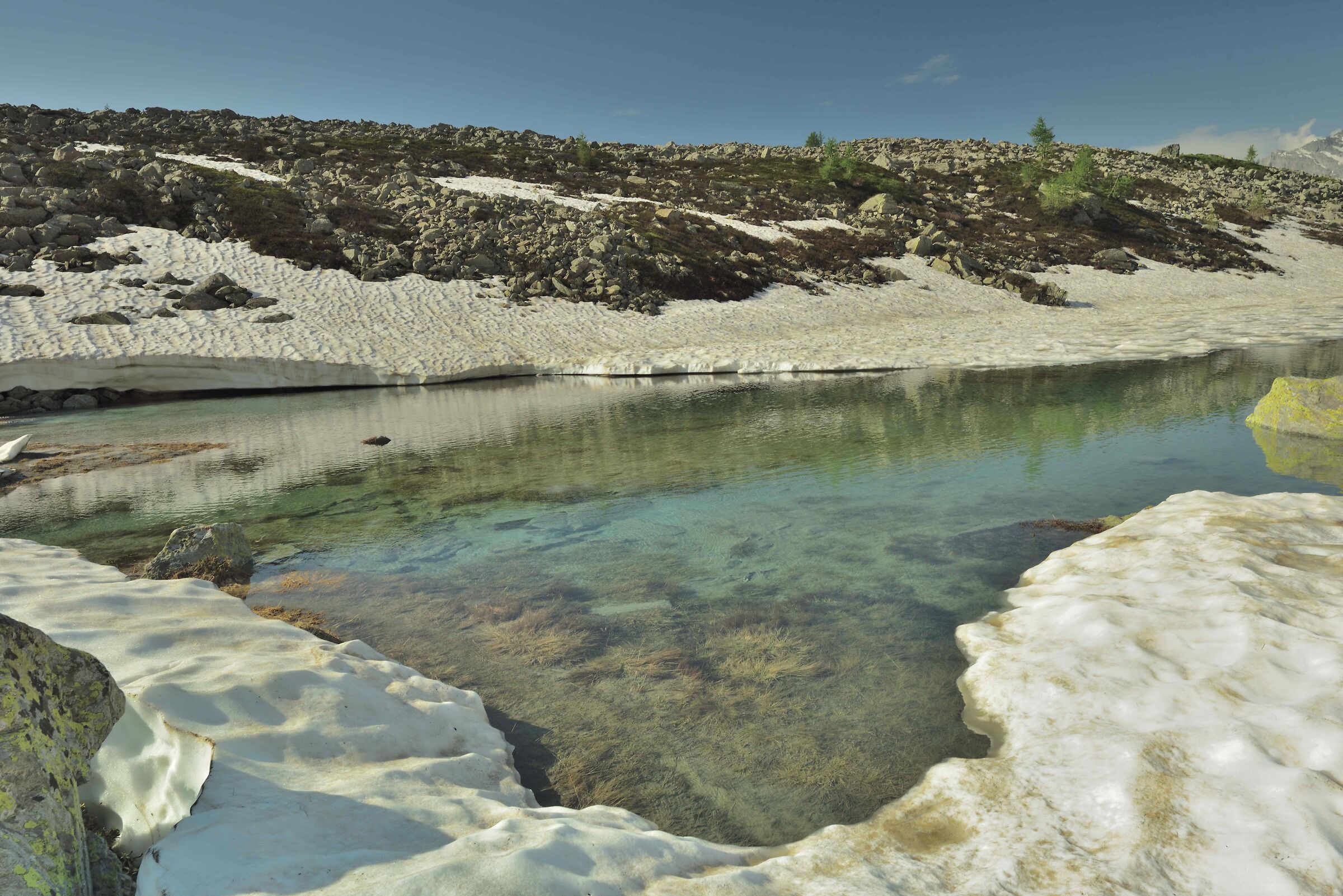 Lago Bianco Alpe Veglia m 2153