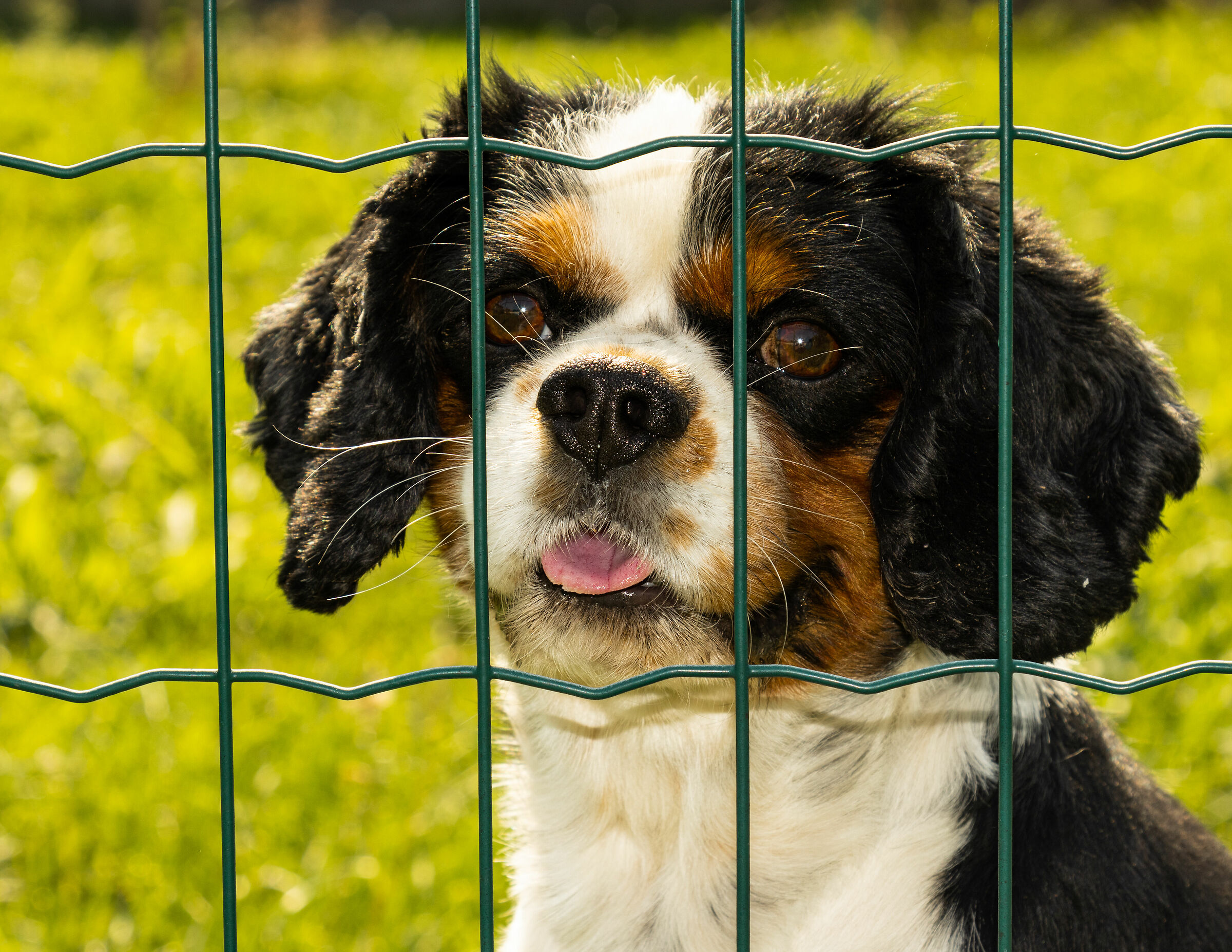 probation (but not too much)