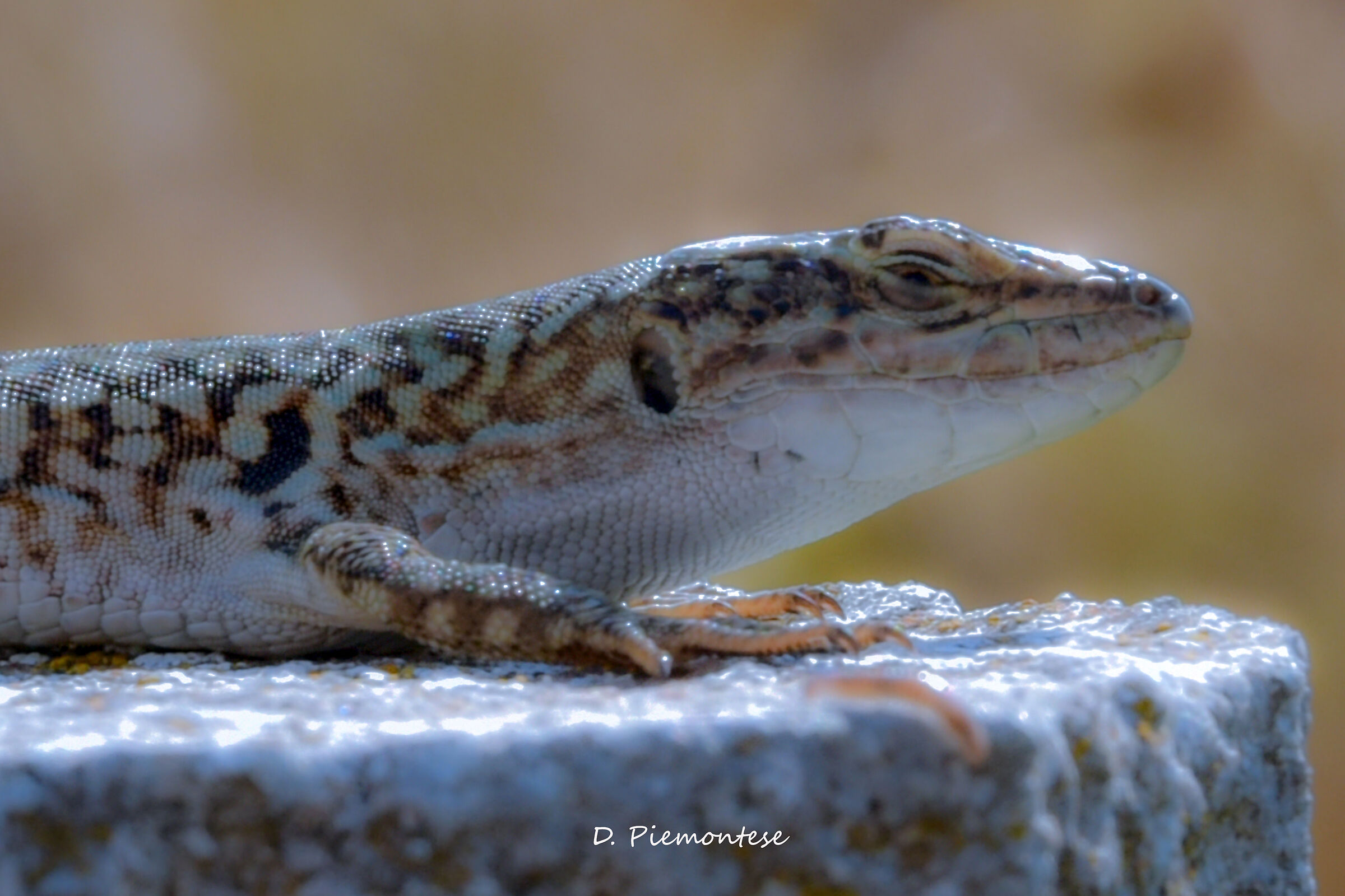 In the September sun