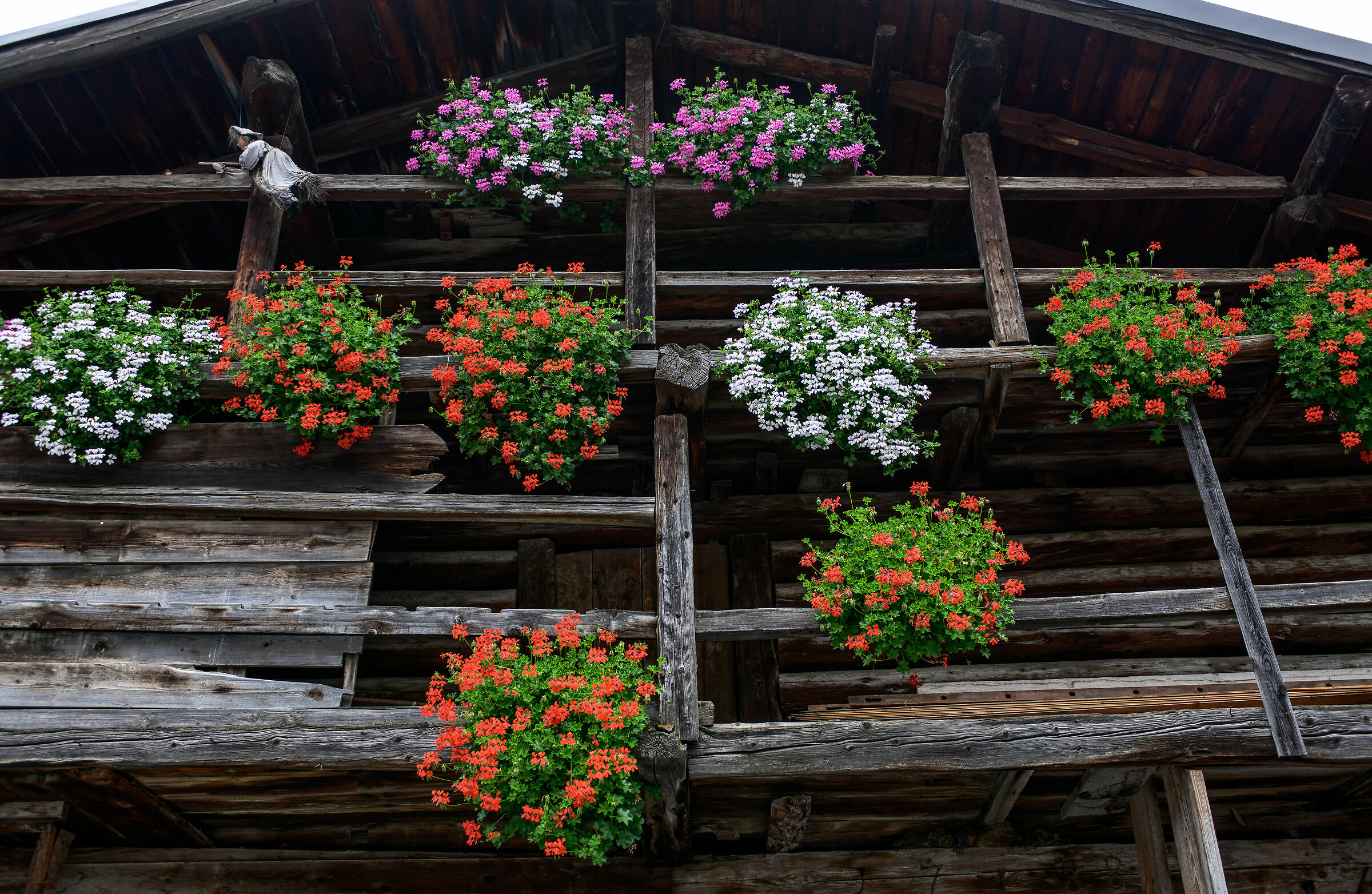 Dolomites 2019-Barn in Canazei