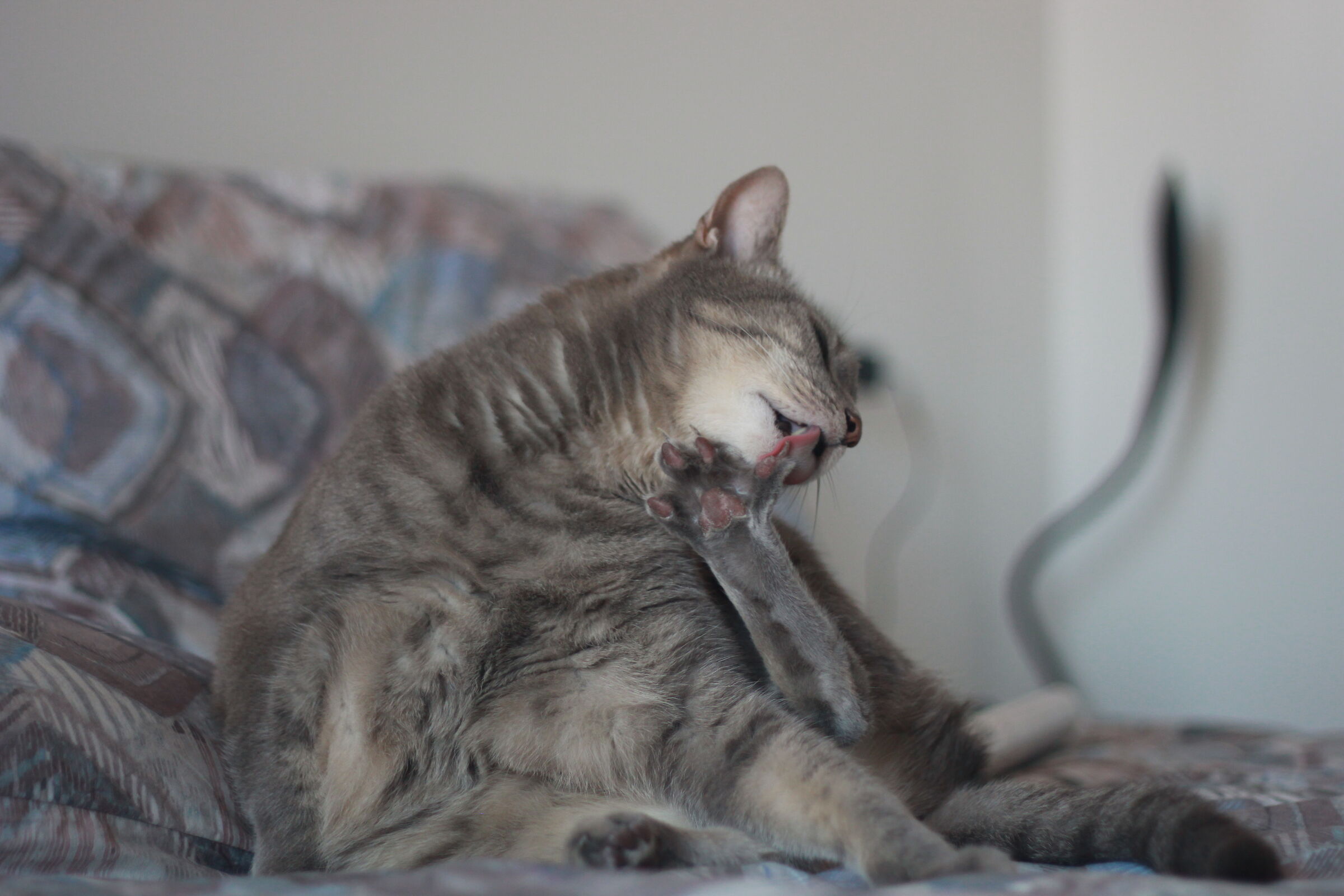 Il più bello del mondo!