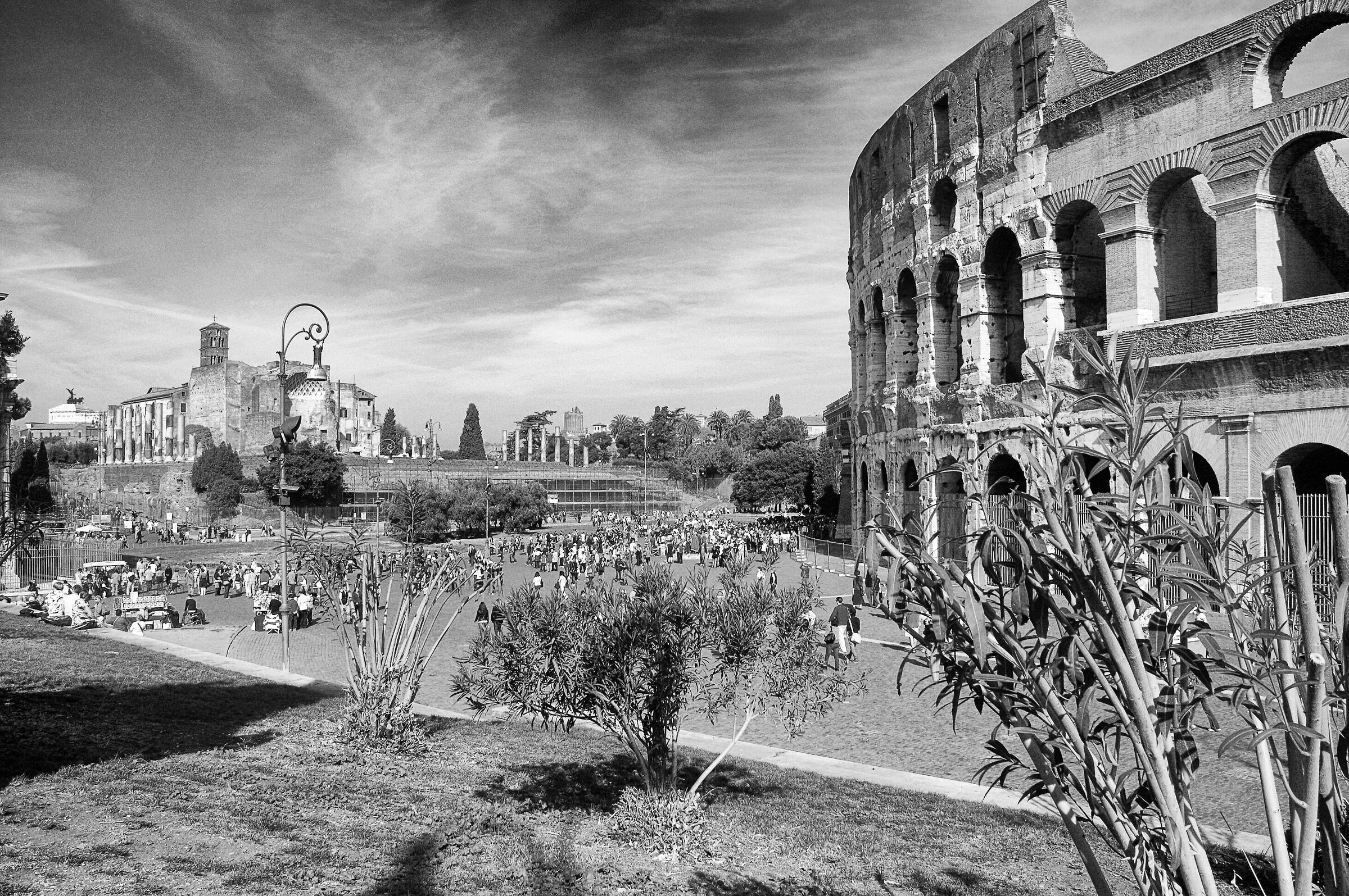 Colosseum