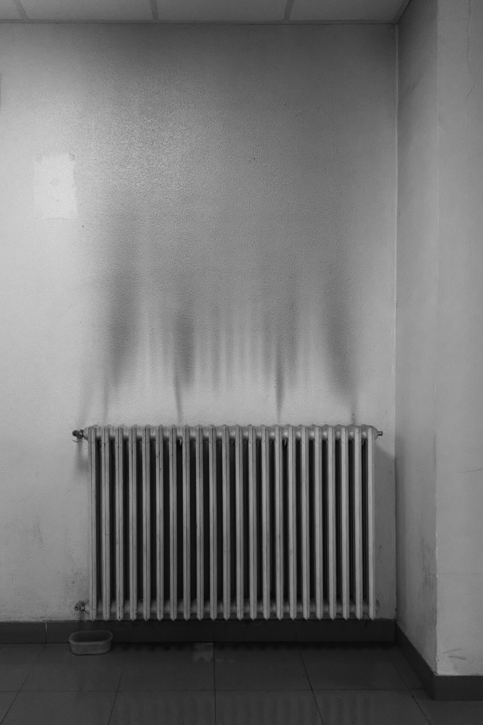 " calore e accoglienza in un reparto di oncologia"