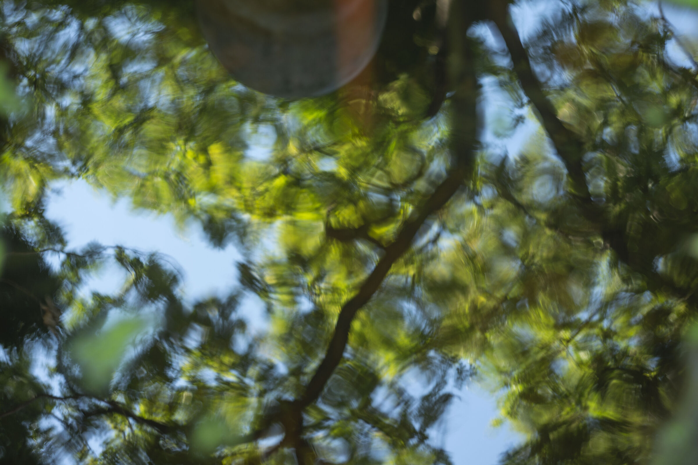 Abstract detail