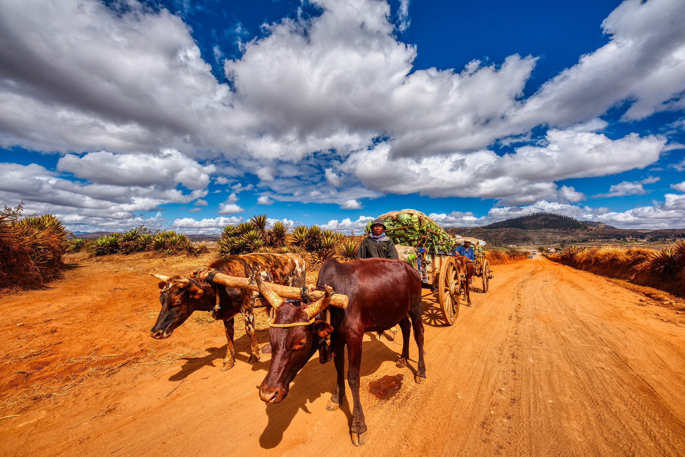 Sunny spaces in Madagascar