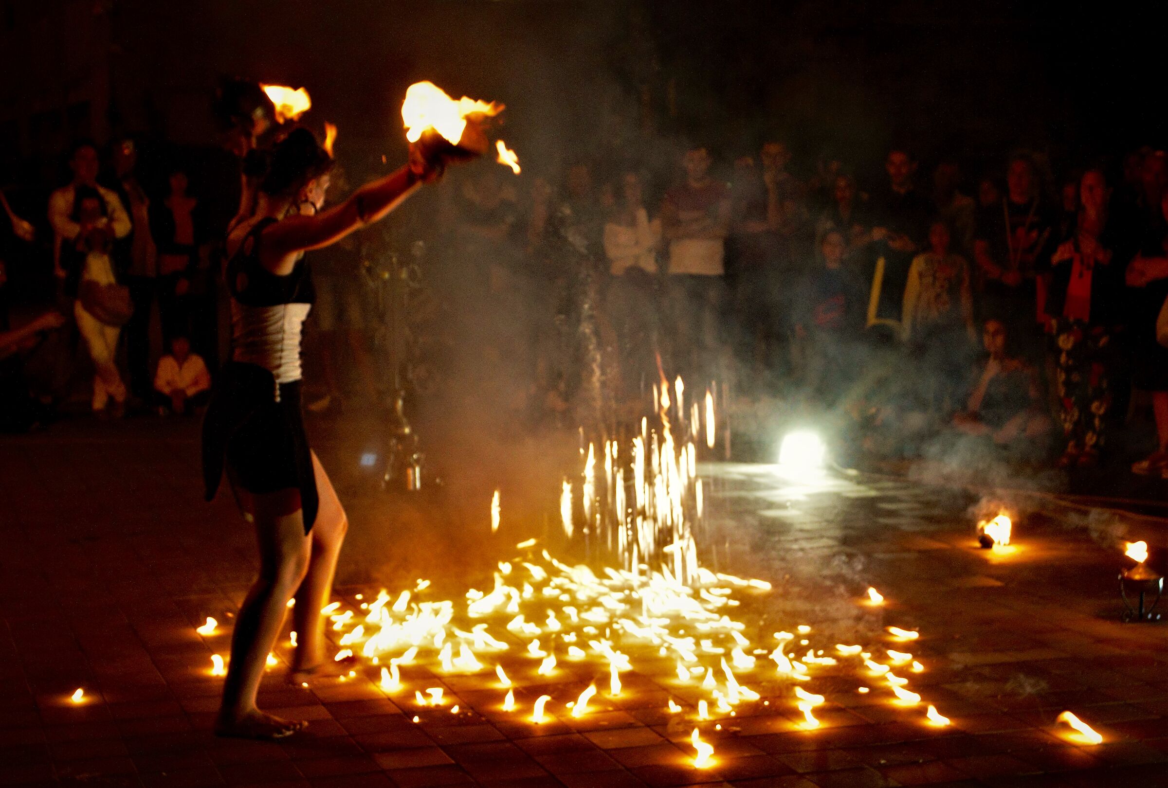The Fire Tamer
