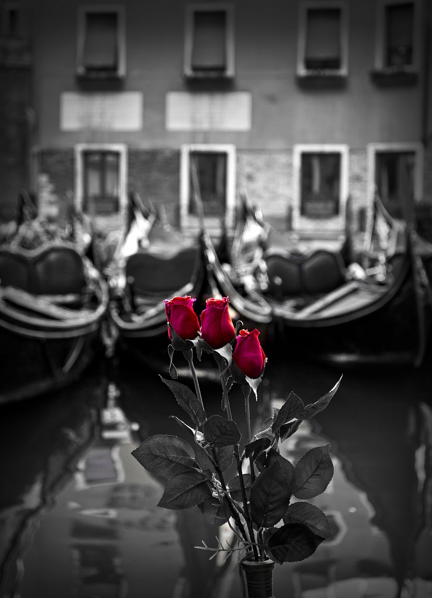 From Venezia with Love