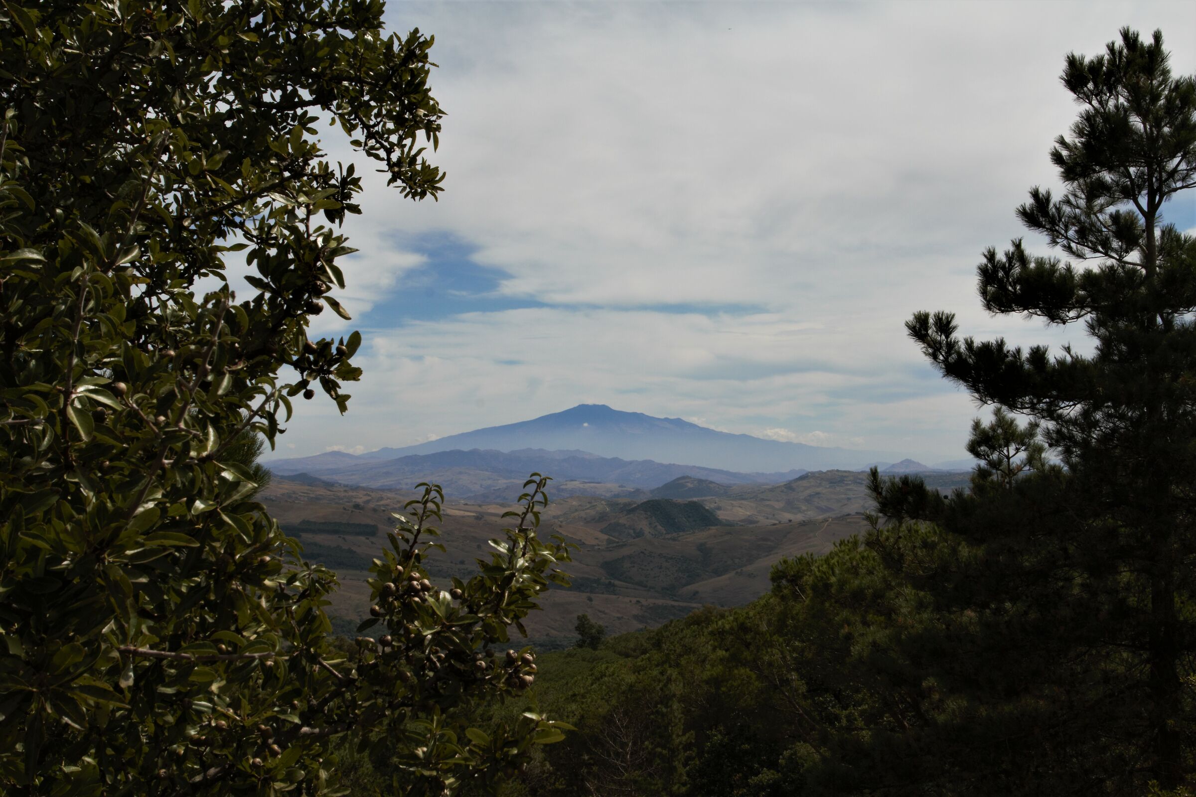 Mount Etna as seen from Mount Altesina