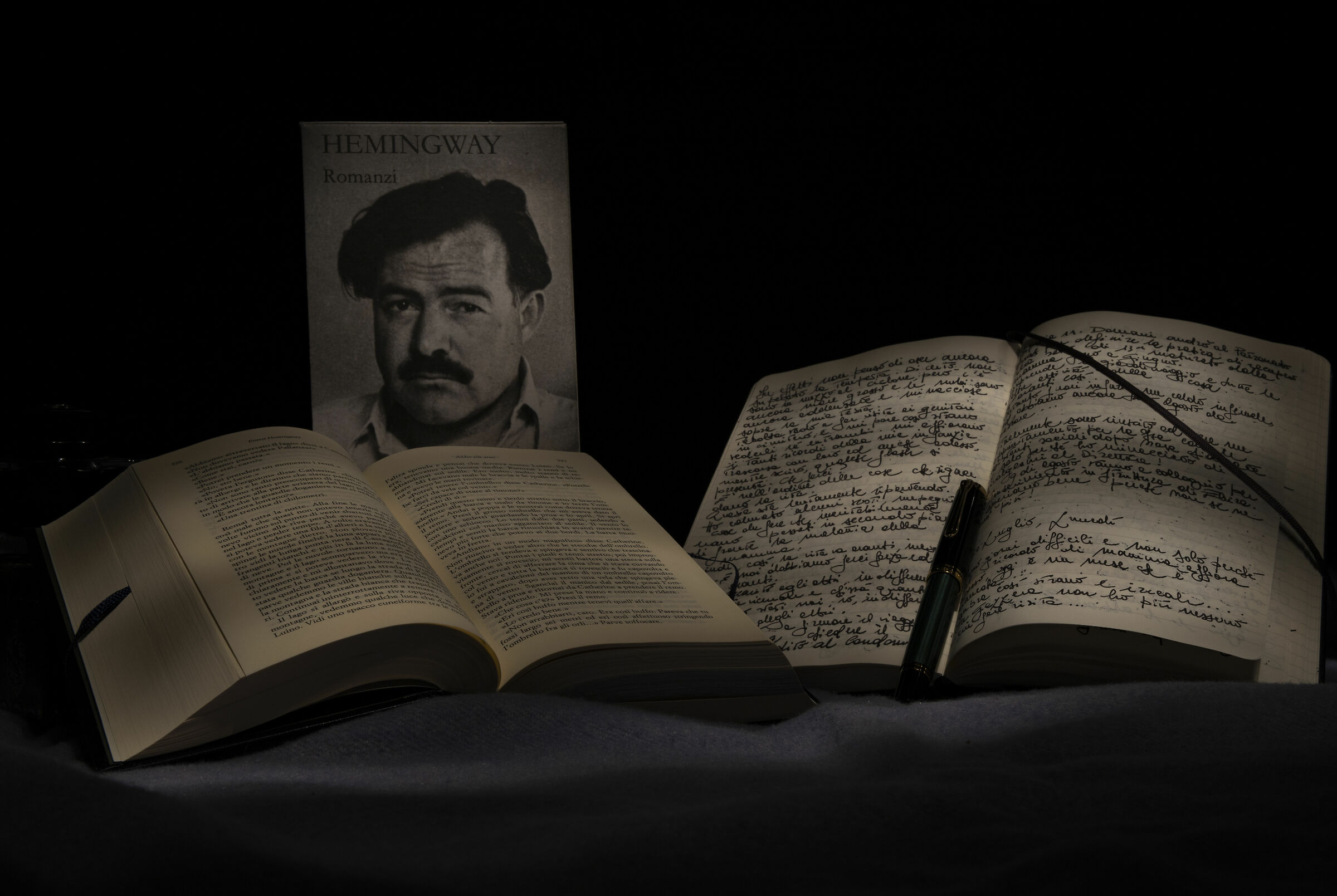 Hemigway e il diario