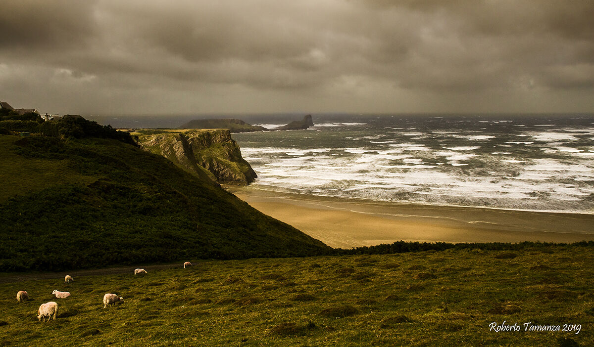 Stormy Weather, New York