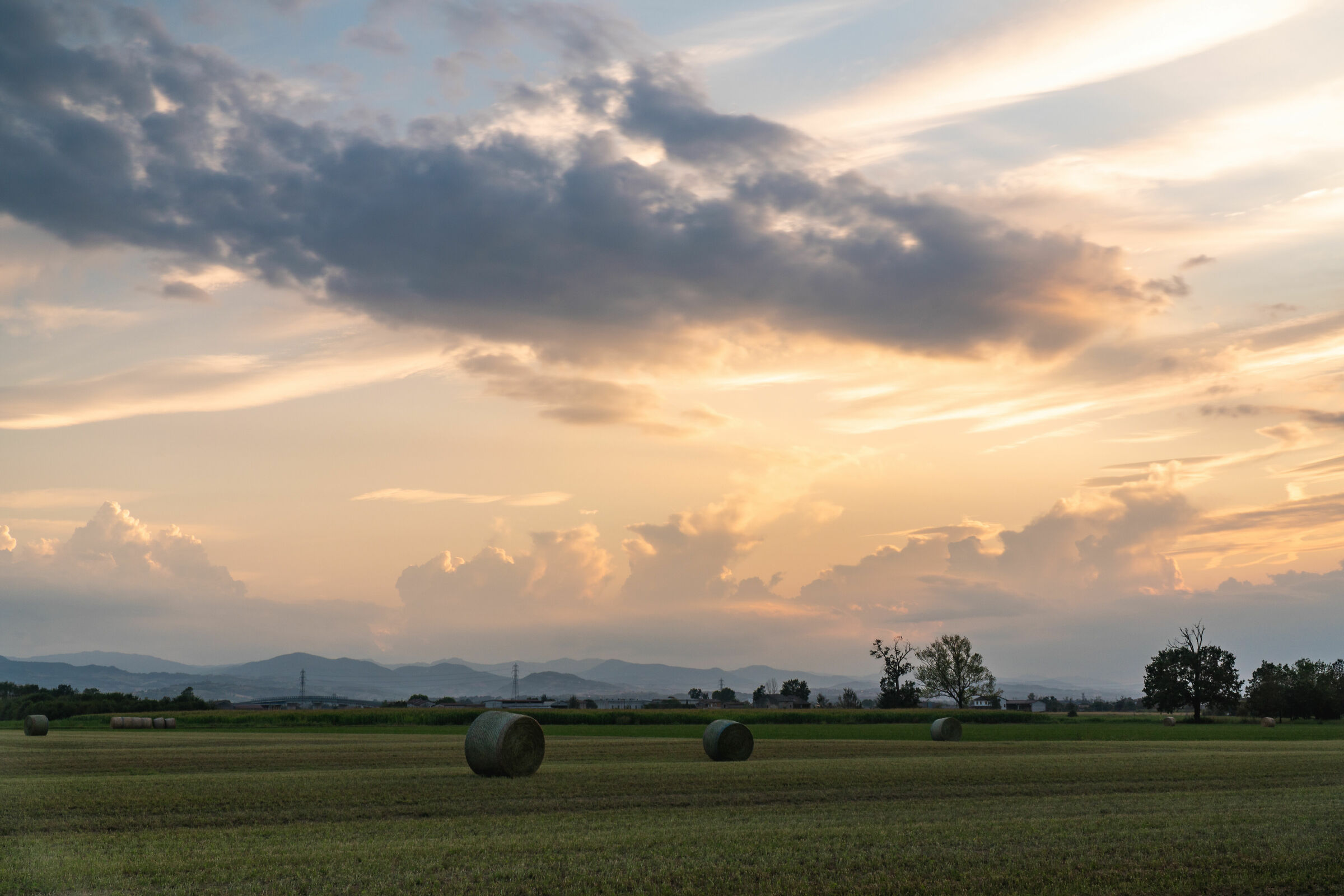 Parmesan sunset