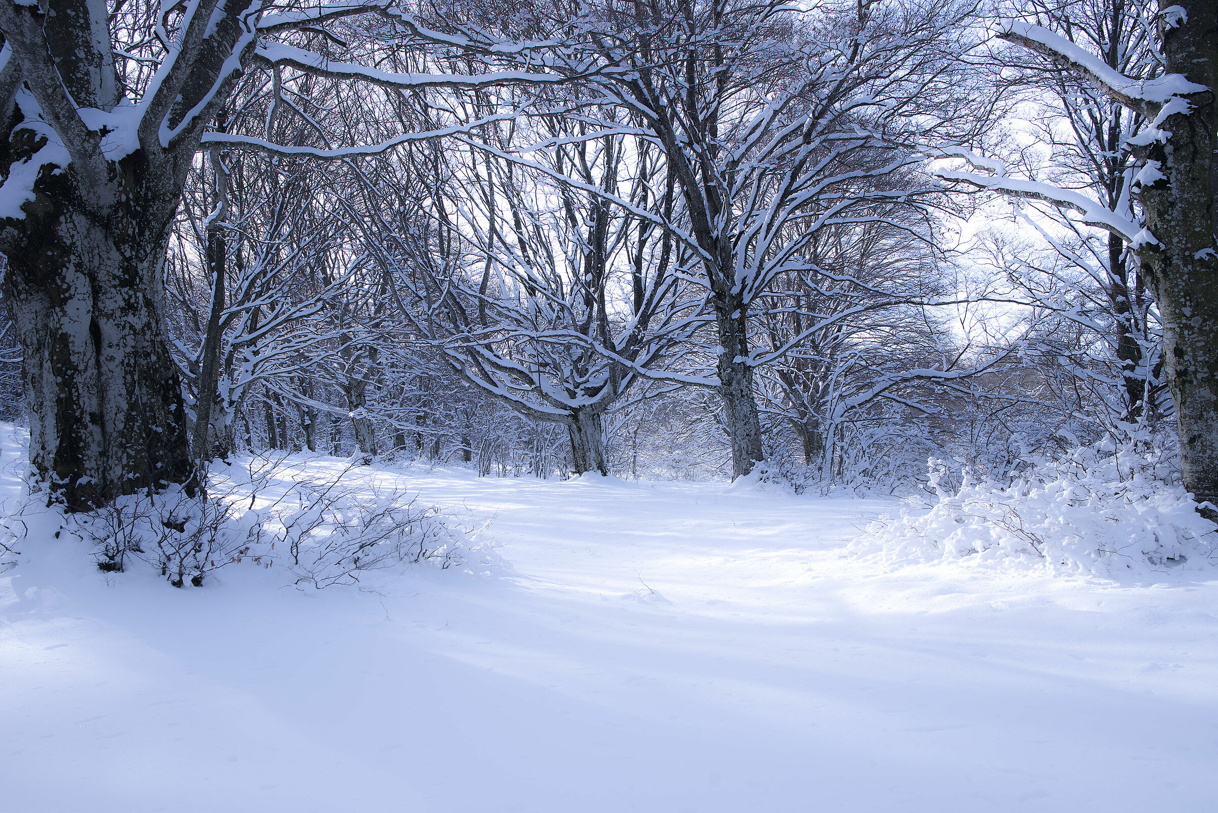 first light on Canfaito