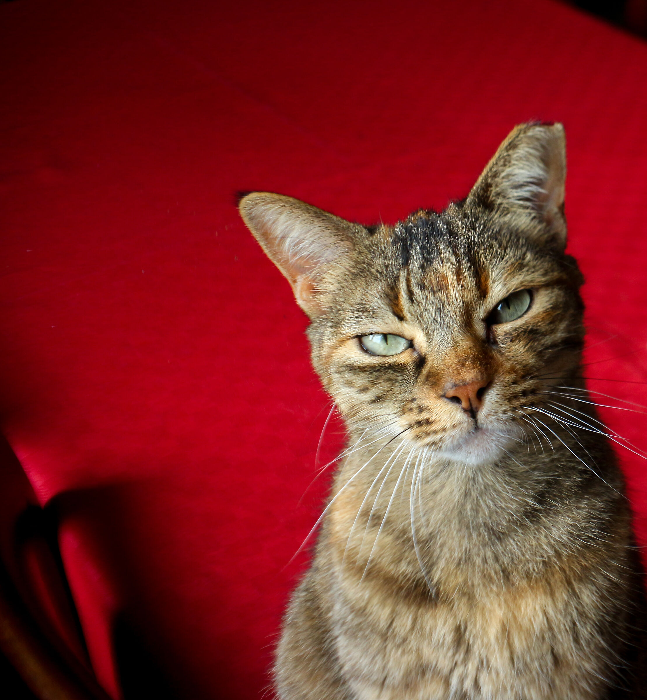 Cos'hai da fotografare...