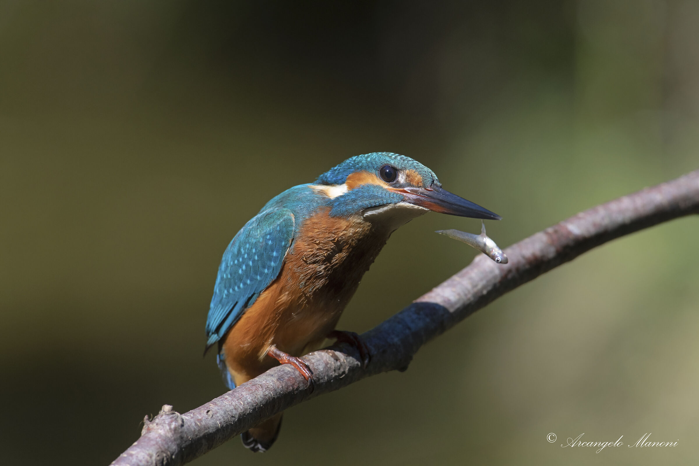 Almost like hanging by a thread