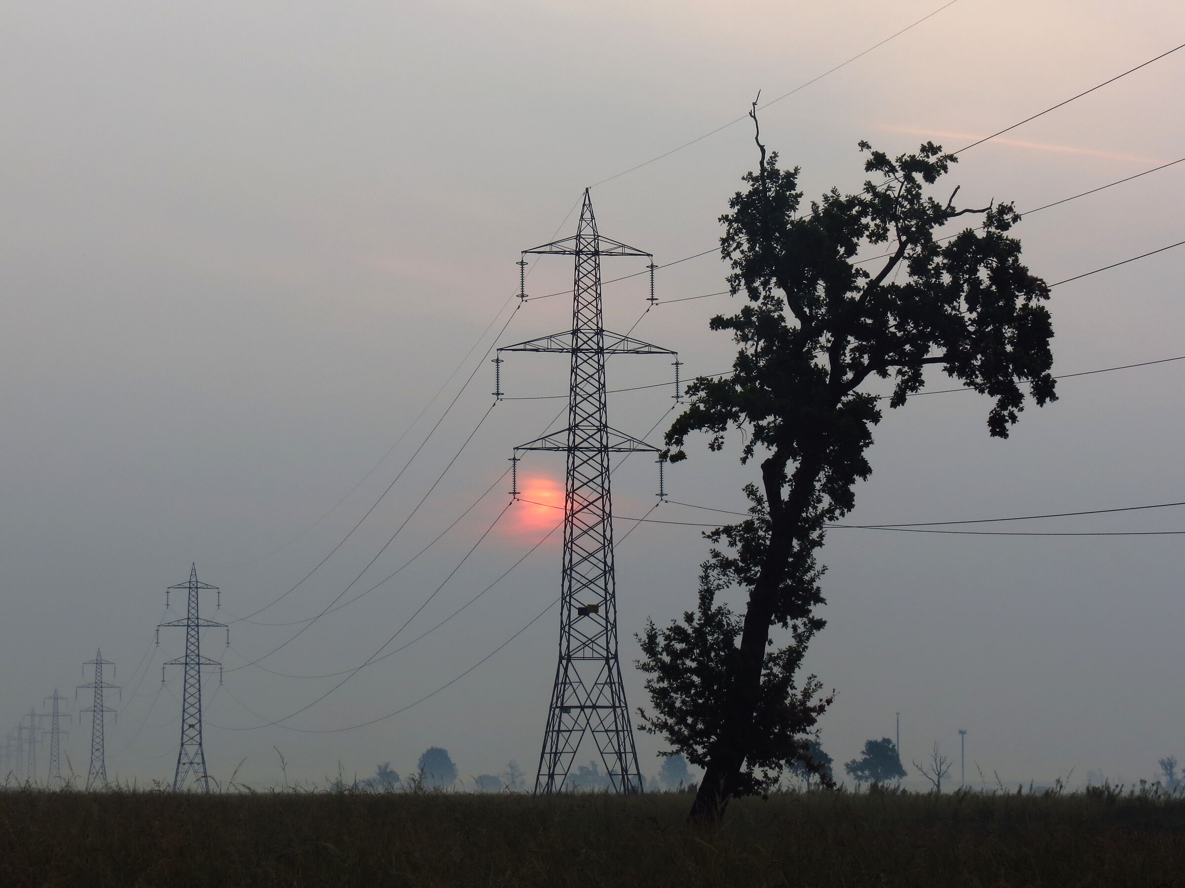 L'elettricità dell'alba 3 (composizione)