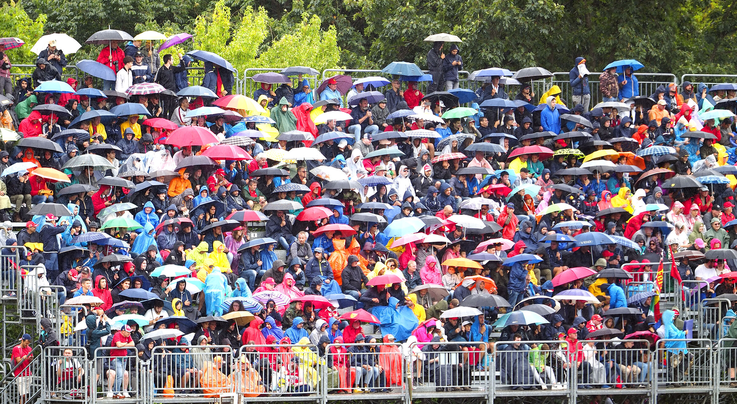 Looking through the rain