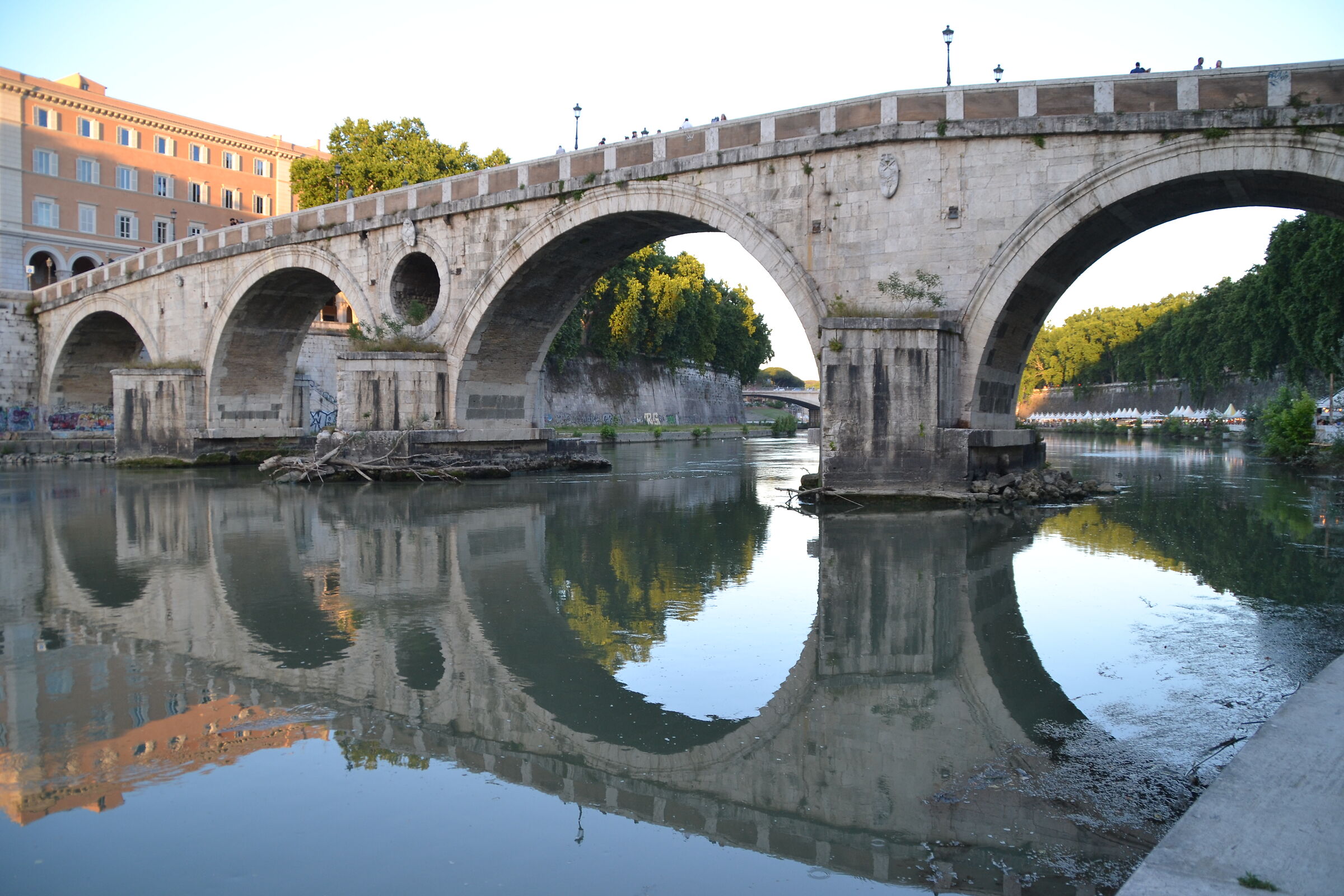 Reflections on the Tiber