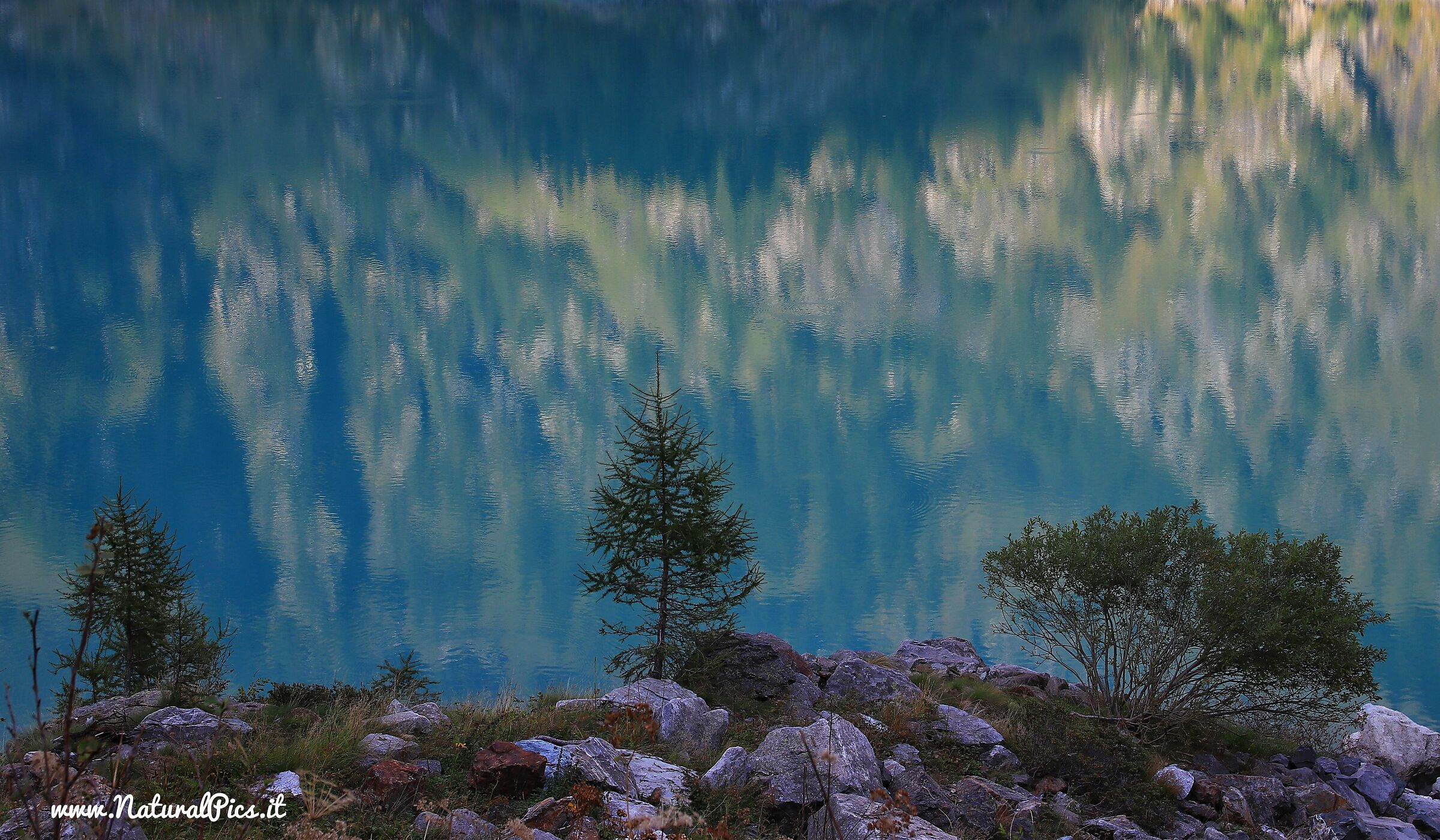 The sky that isn't there.... #riflessi