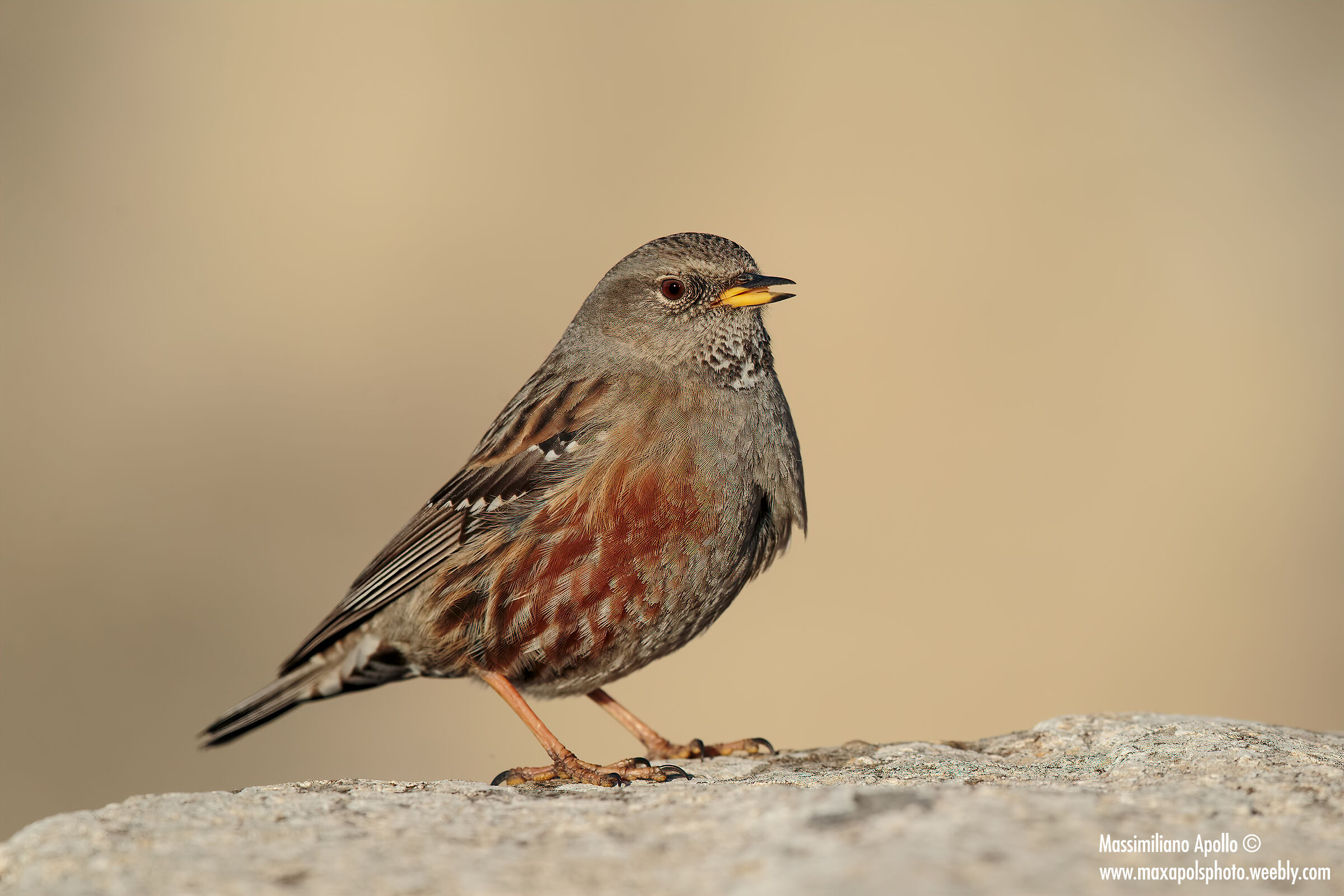 All the colors of the sunlook at sunset...