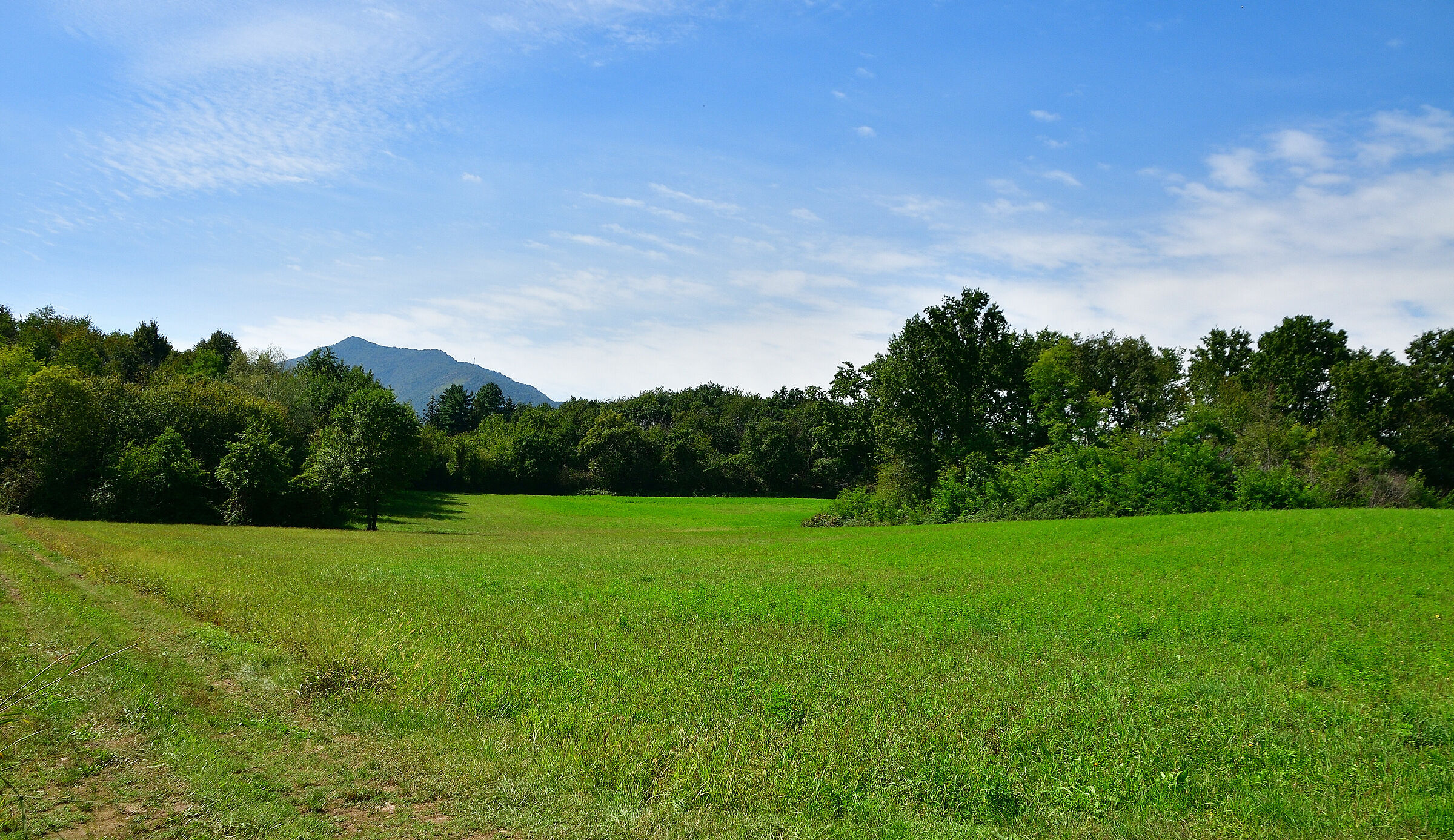 In absolute silence...