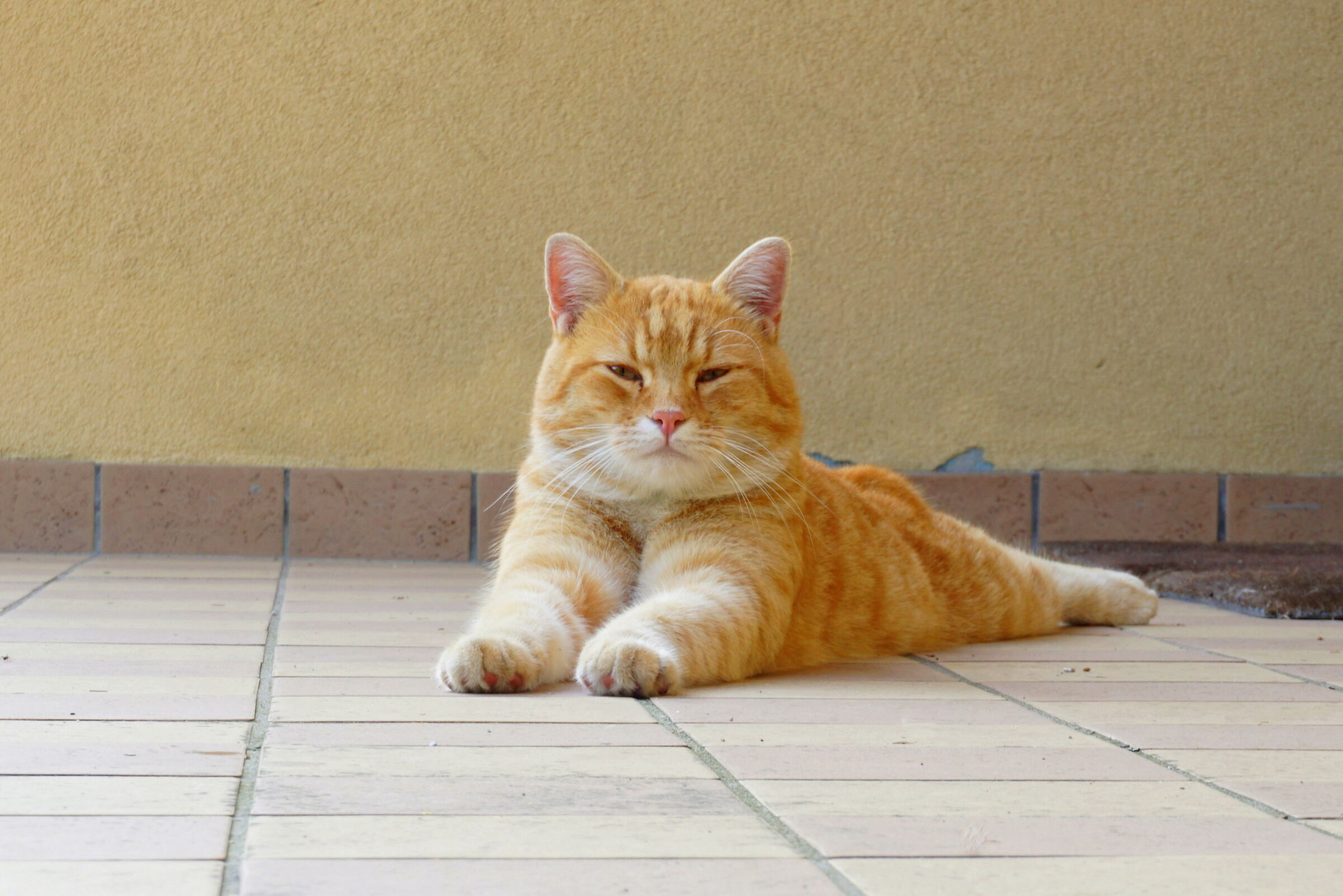 Peppe...per gli amici di juza