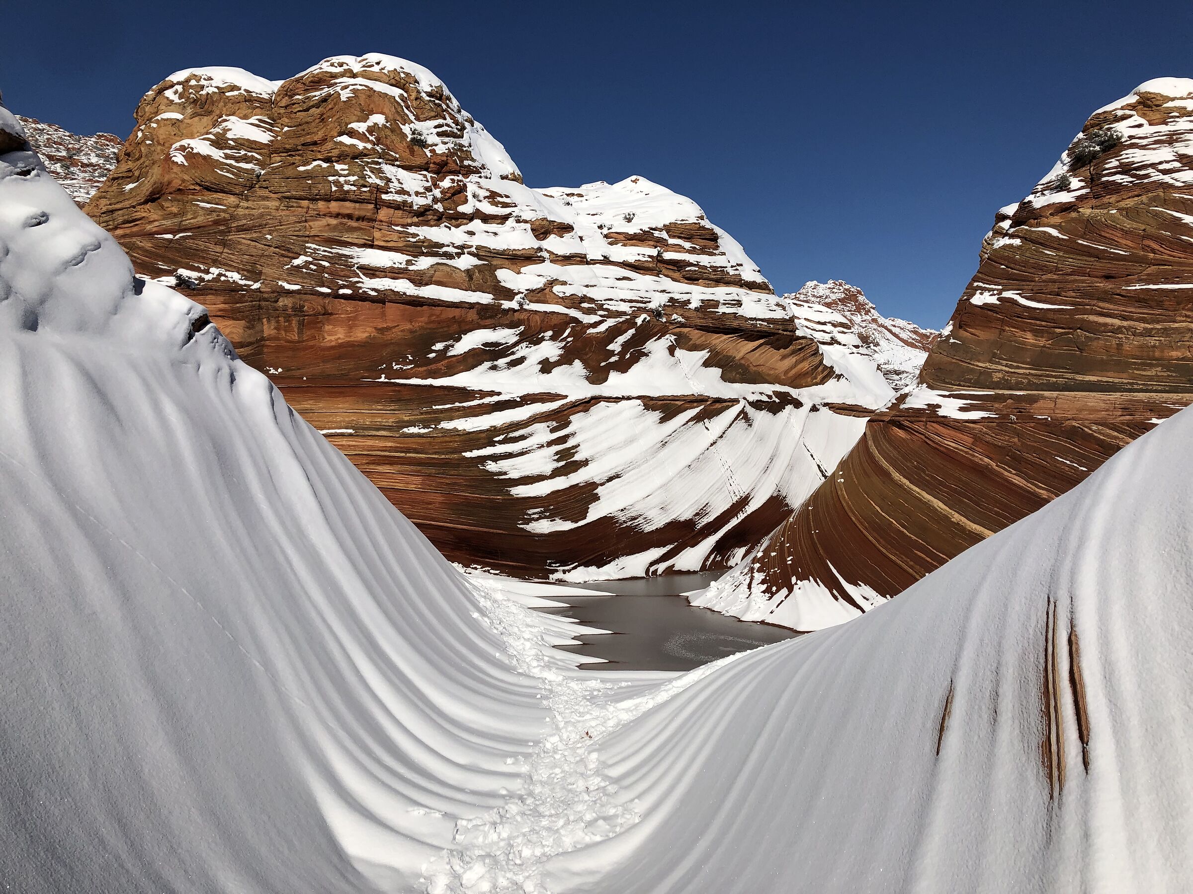 Teh Wave, classic with snow