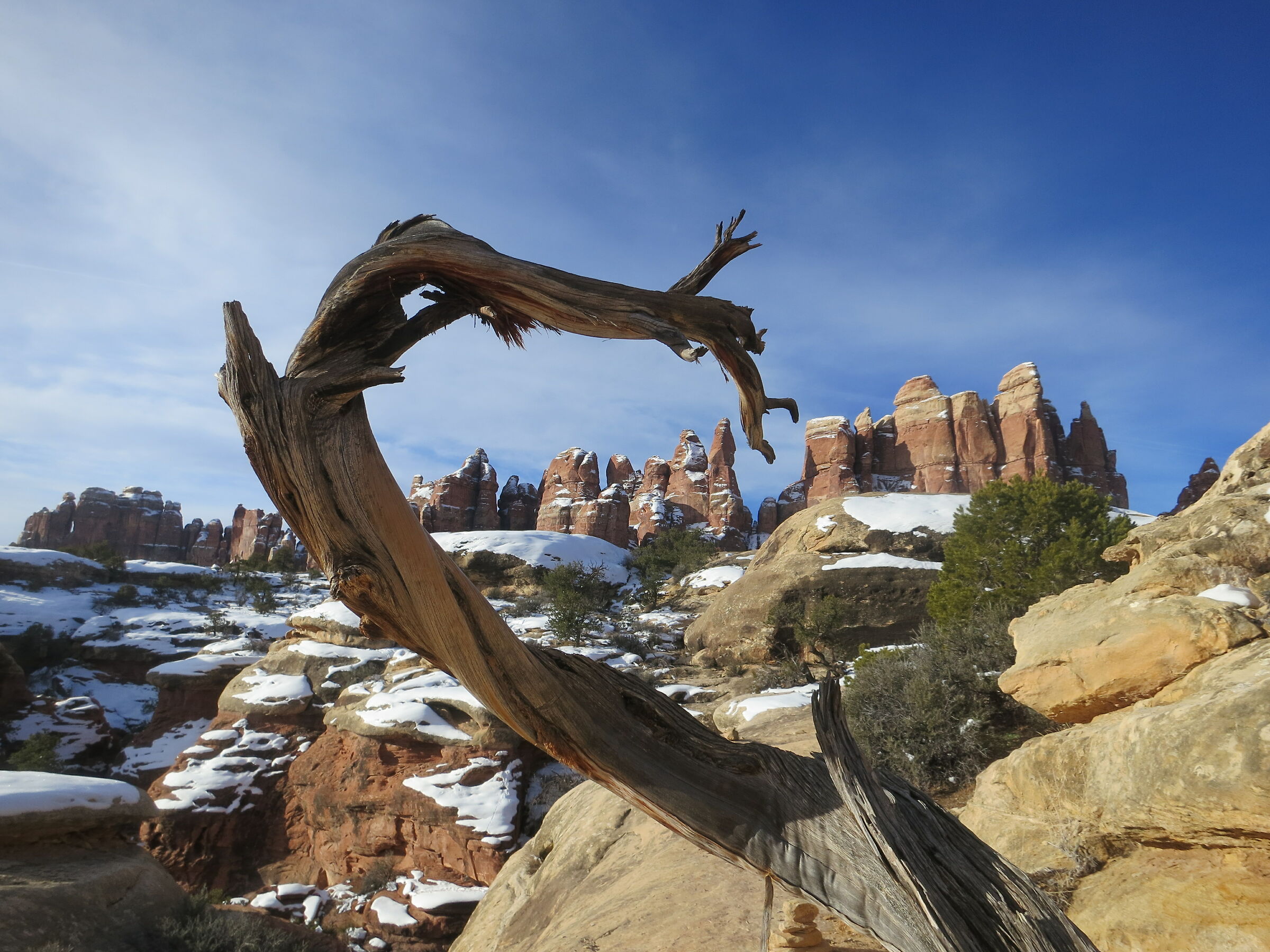 Needles (Canyonlands NP)