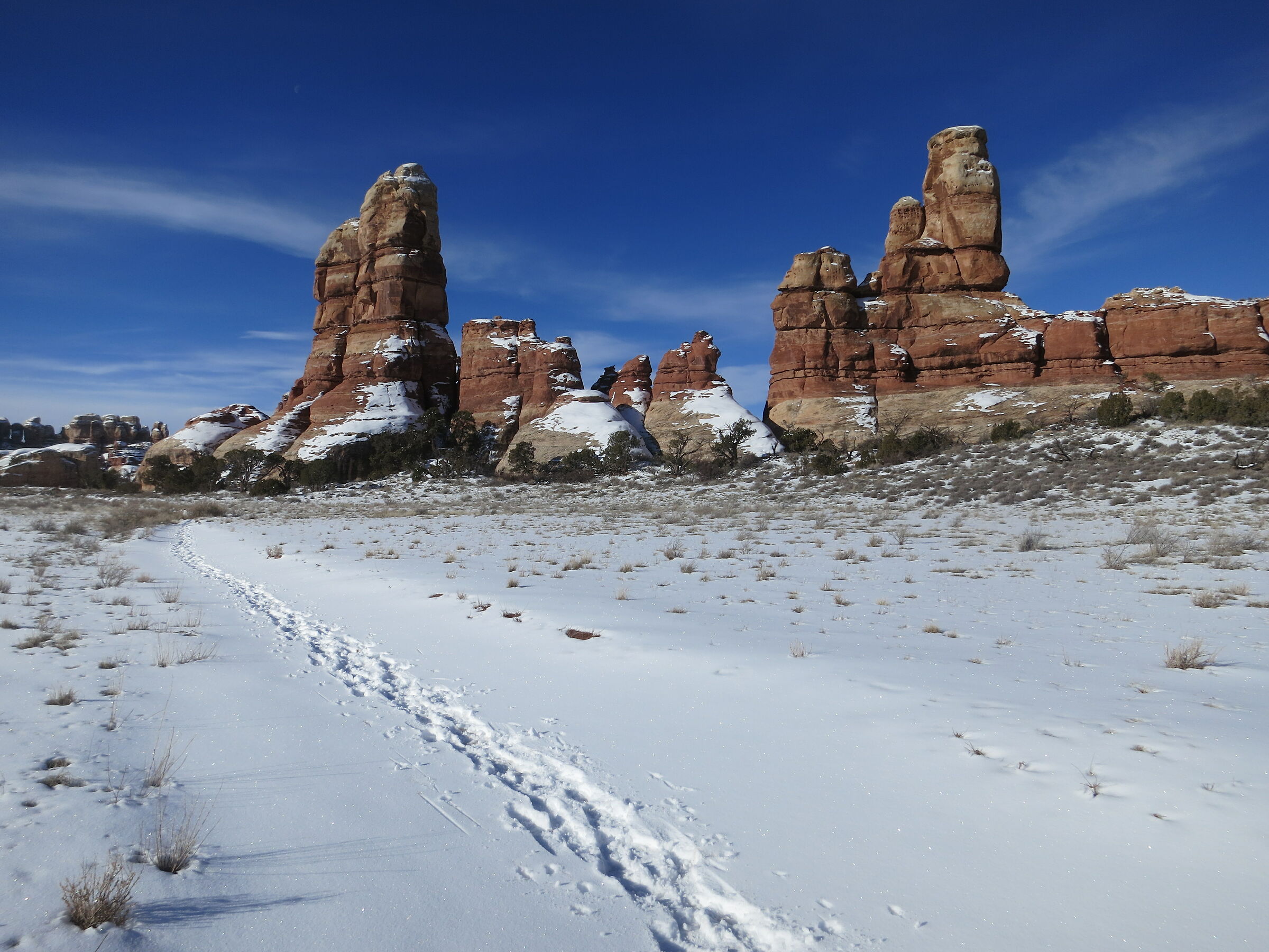Needles, Chesler Park