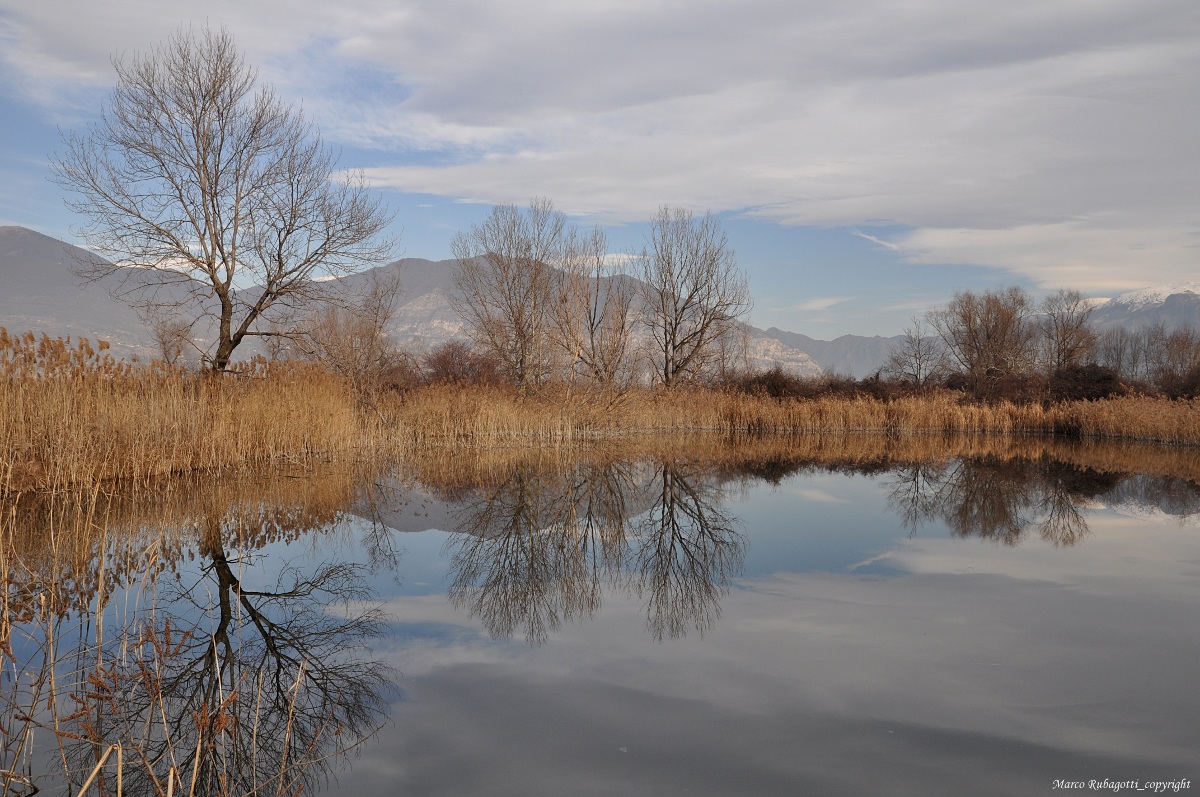 Le Torbiere del Sebino - 1