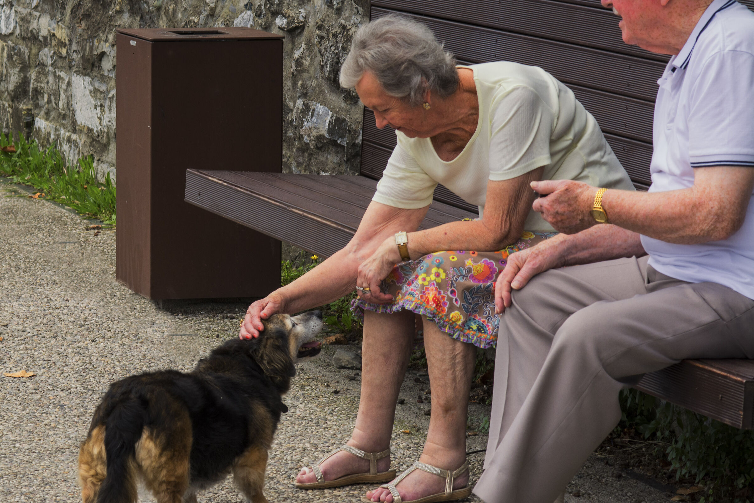 meeting between seniors