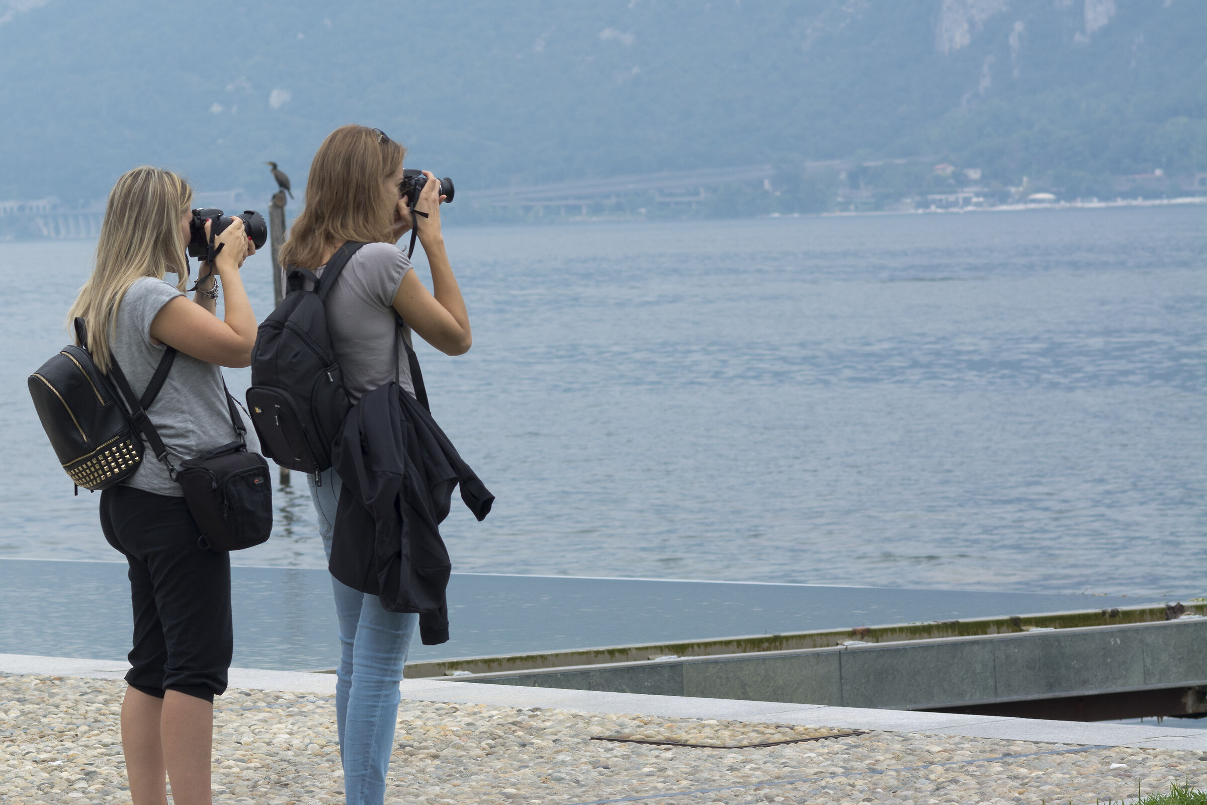 look in the same direction