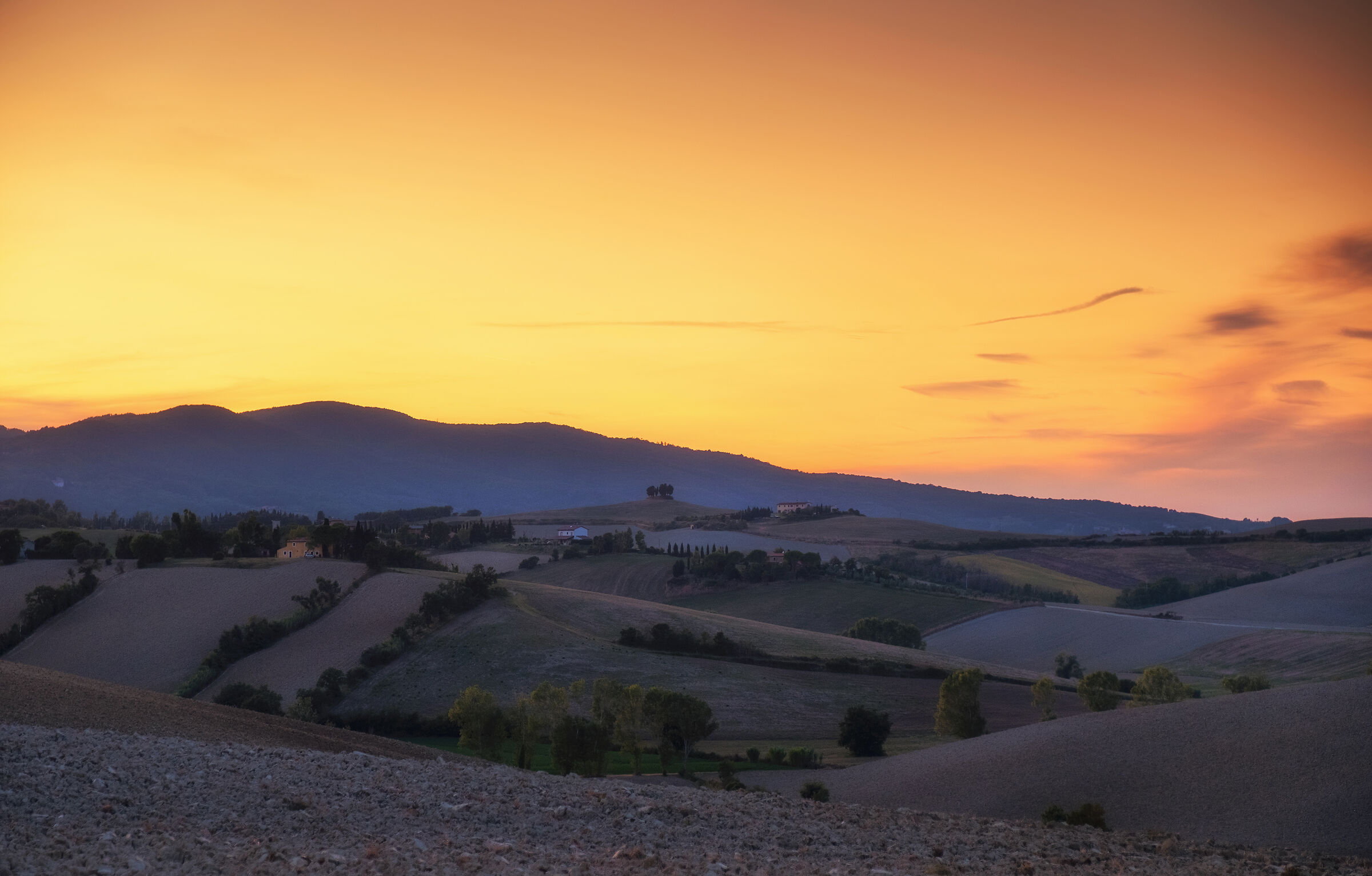 Like exiles thoughts...